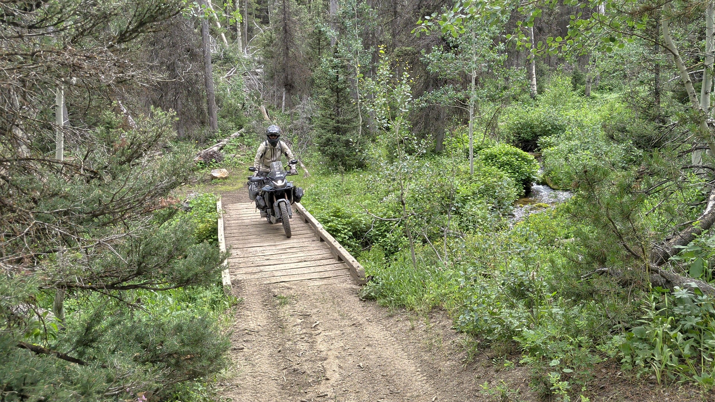 A person riding a motorcycle across a small wooden bridge on a forest trail, surrounded by dense green trees and foliage.
