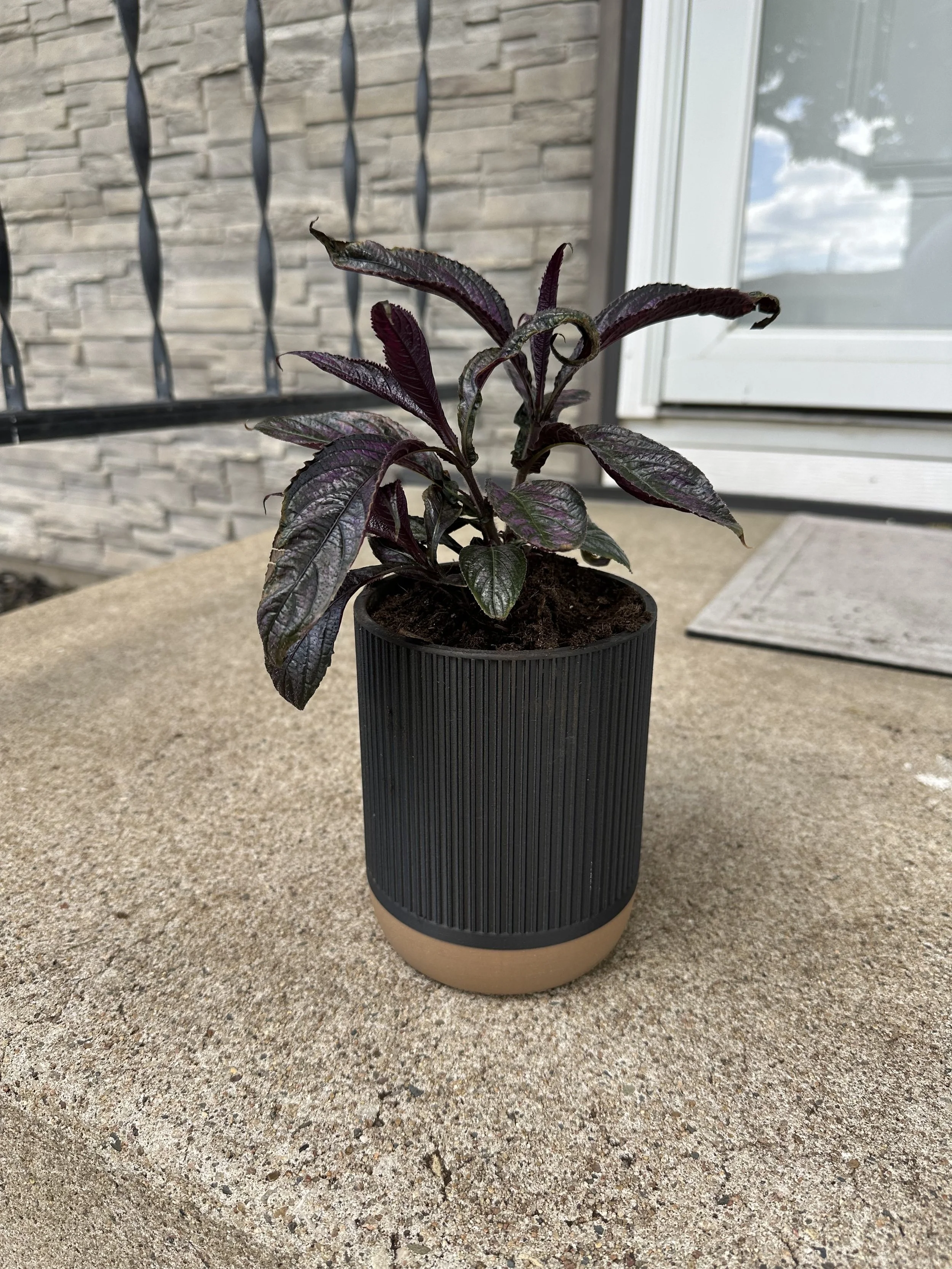 image1 (2).jpeg