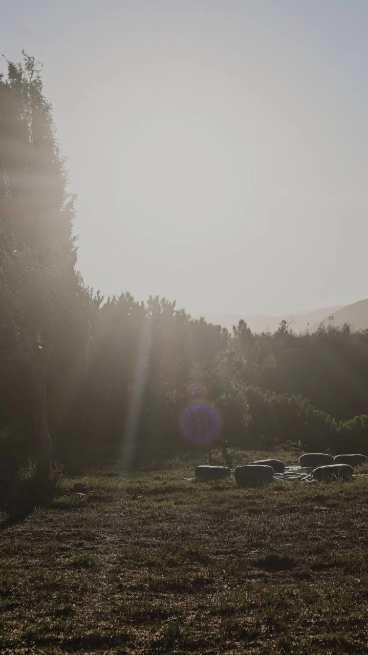 Morgenlicht & Vorbereitung auf die erste Yogastunde mit Sitzkissen & Matten