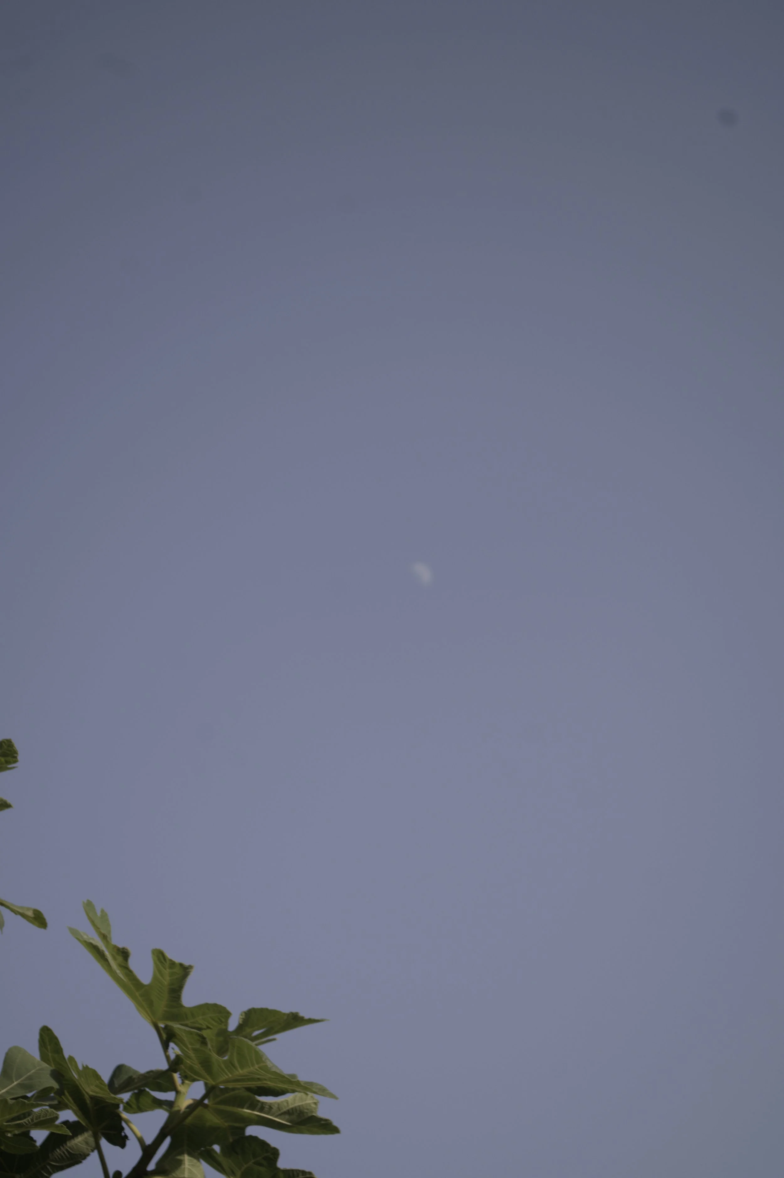 DSC_4915.jpg