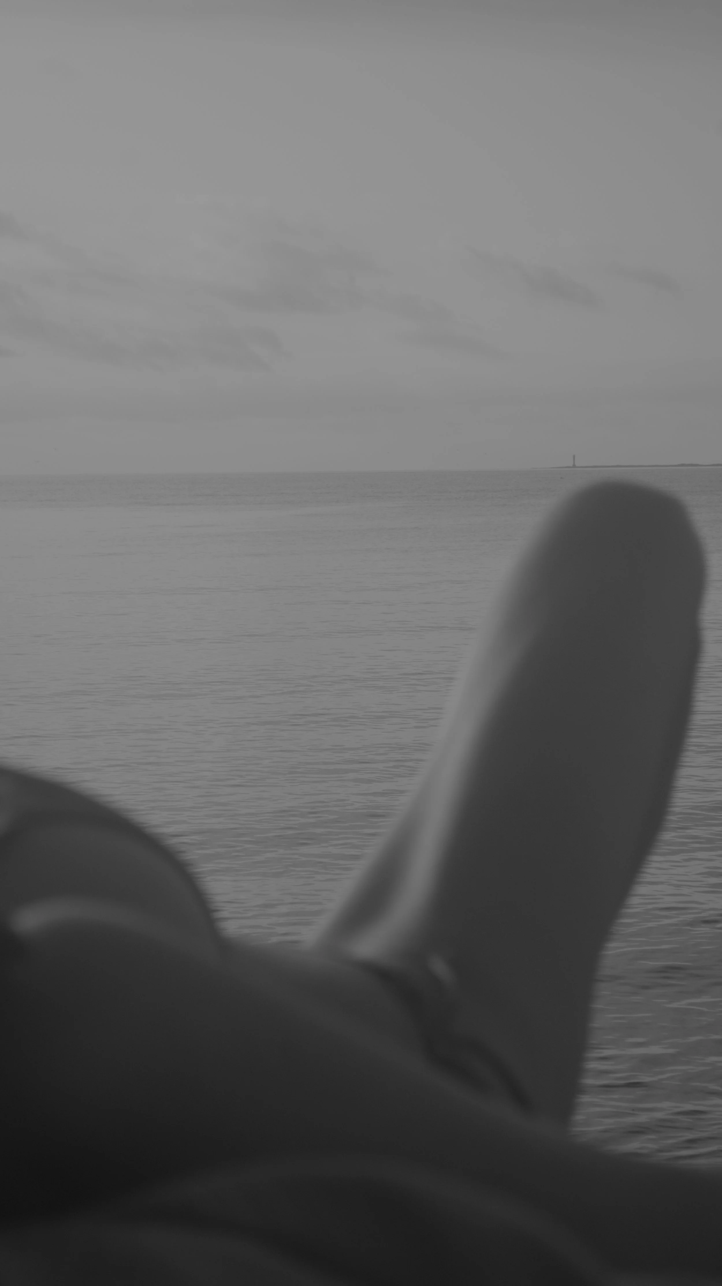 DSC_6184.jpg