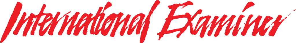 The words "International Examiner" written in a stylized, red brush-stroke font with a hand-painted aesthetic.