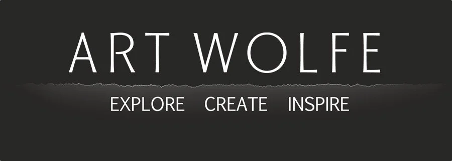 The name "ART WOLFE" in a thin, white all-caps font centered over a dark grey background, with the words "EXPLORE CREATE INSPIRE" underneath in a smaller white font.