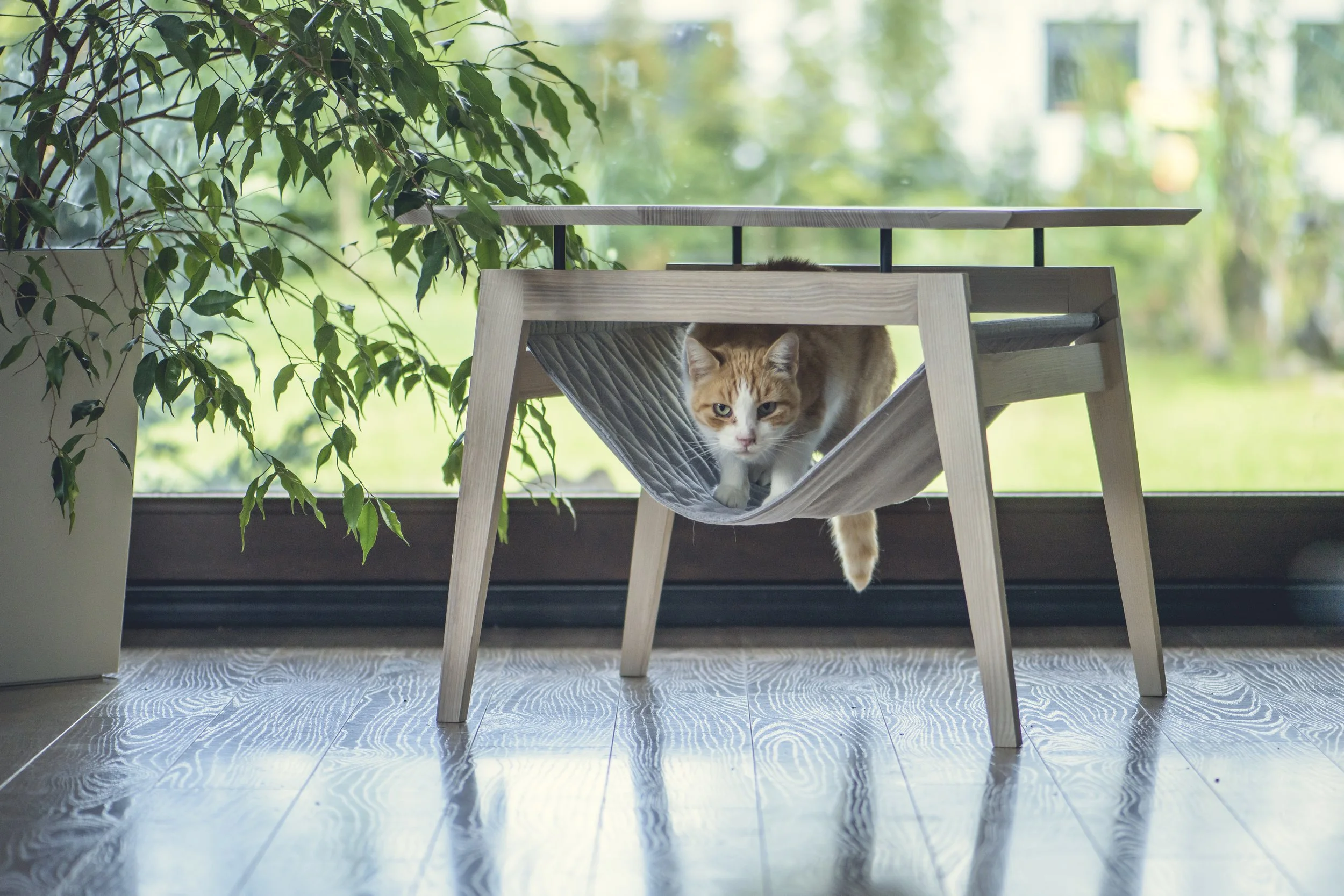 Kikko (4).jpg