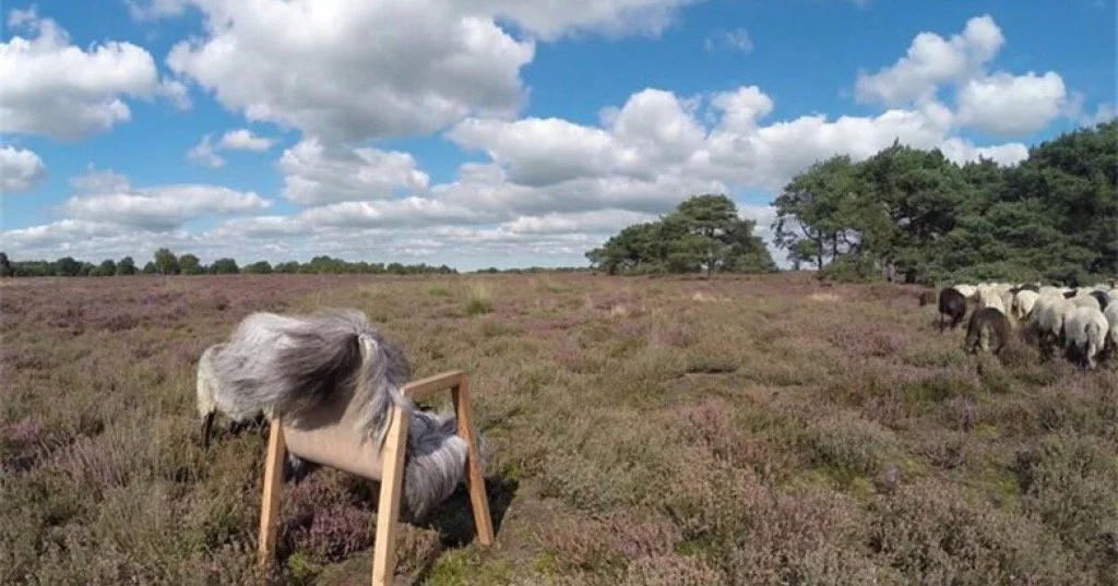 Een schommel in een open veld met een paard die erop zit, en in de achtergrond lopen paarden op een heuvel met bomen onder een bewolkte blauwe lucht.