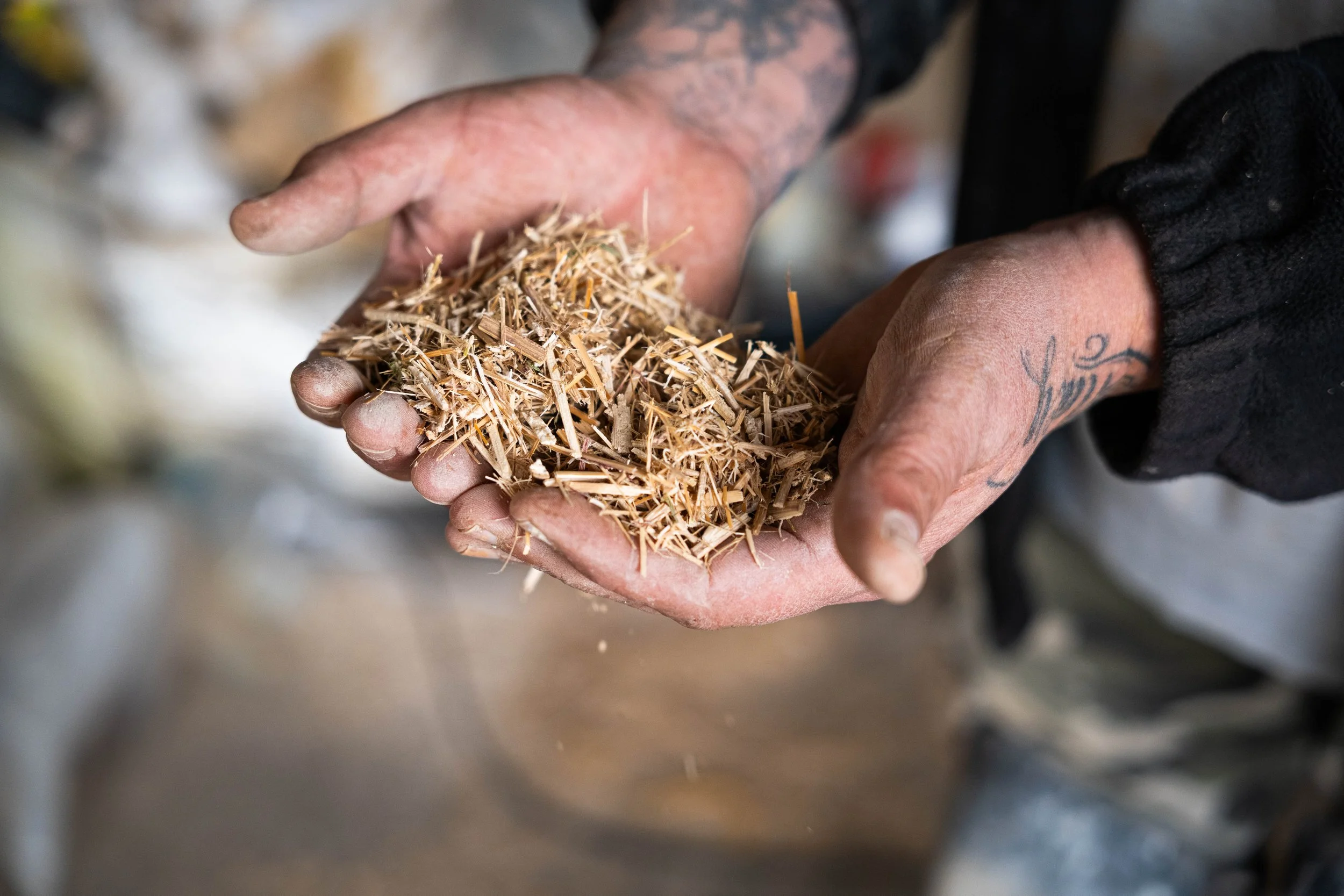 Xiriton – Onderzoek naar biobased meubeltoepassingen