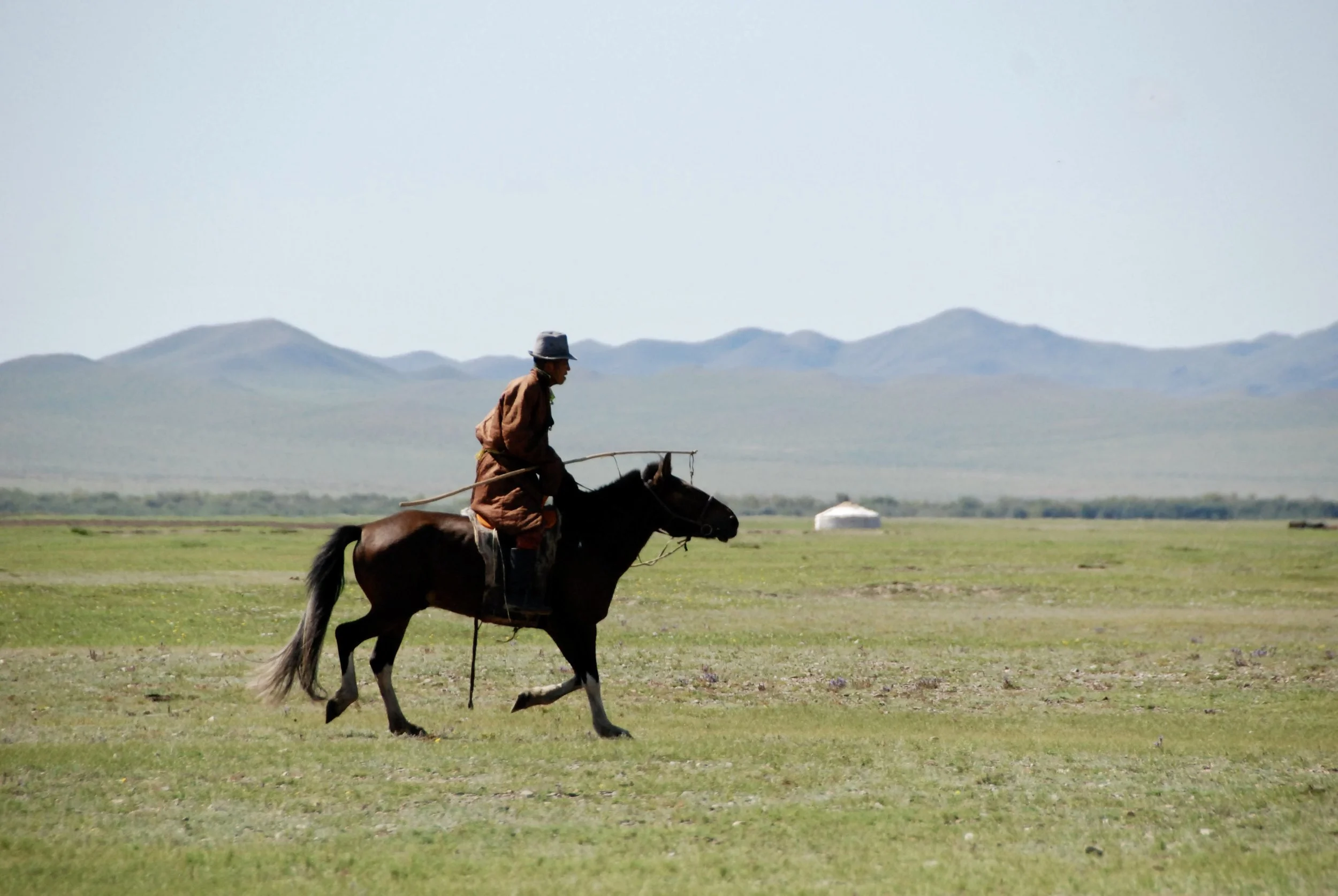 DSC_0136.JPG