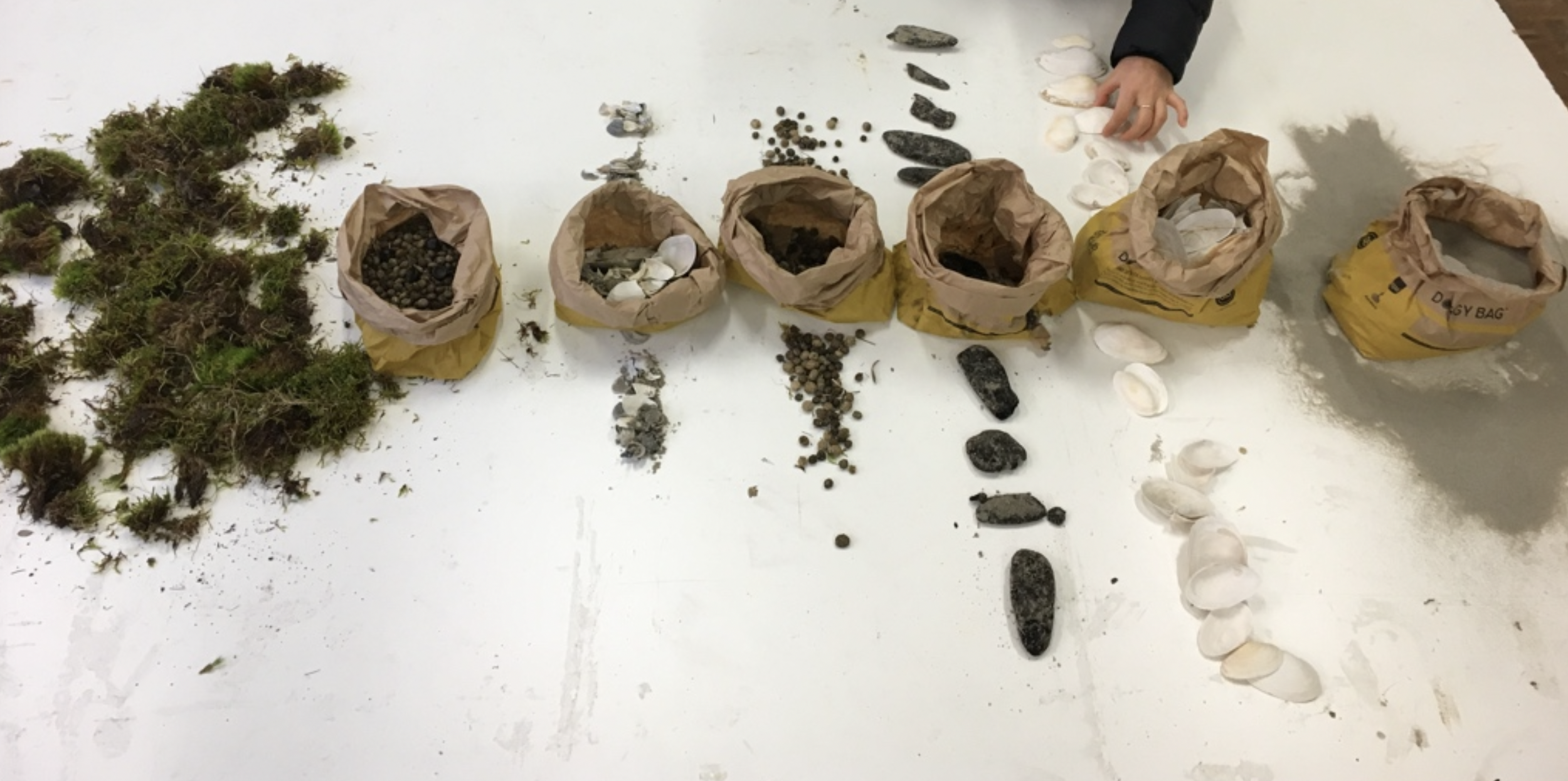 Gastdocent – Academie Minerva