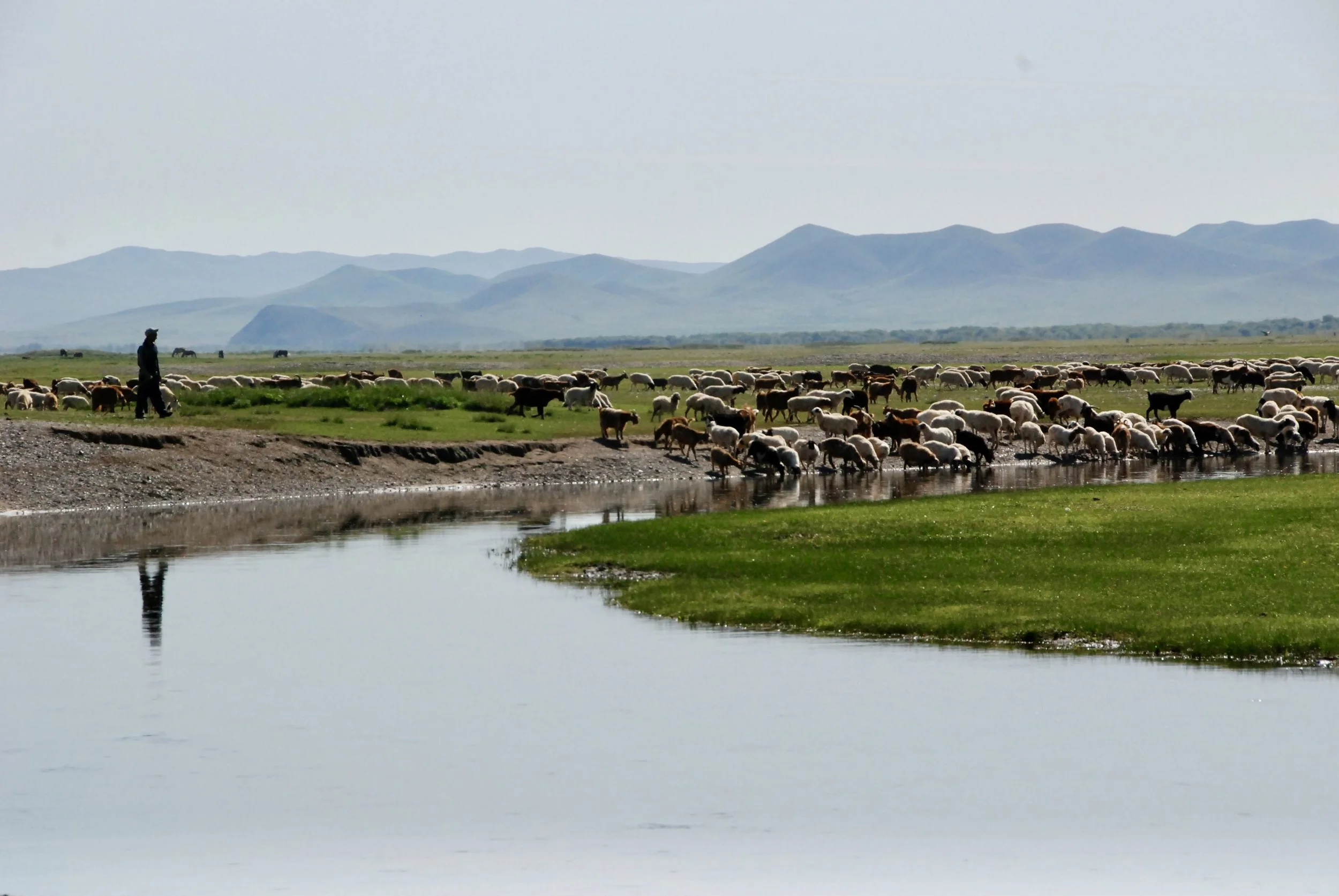 DSC_0089.JPG