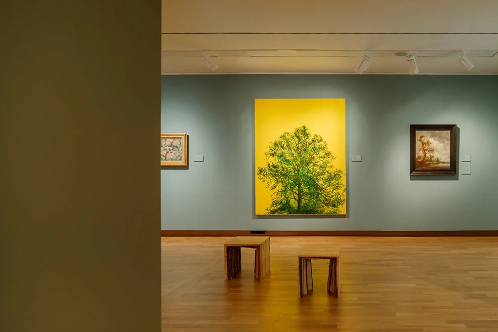In een kunstgalerie hangen drie schilderijen aan de muur, met houten banken op de houten vloer.