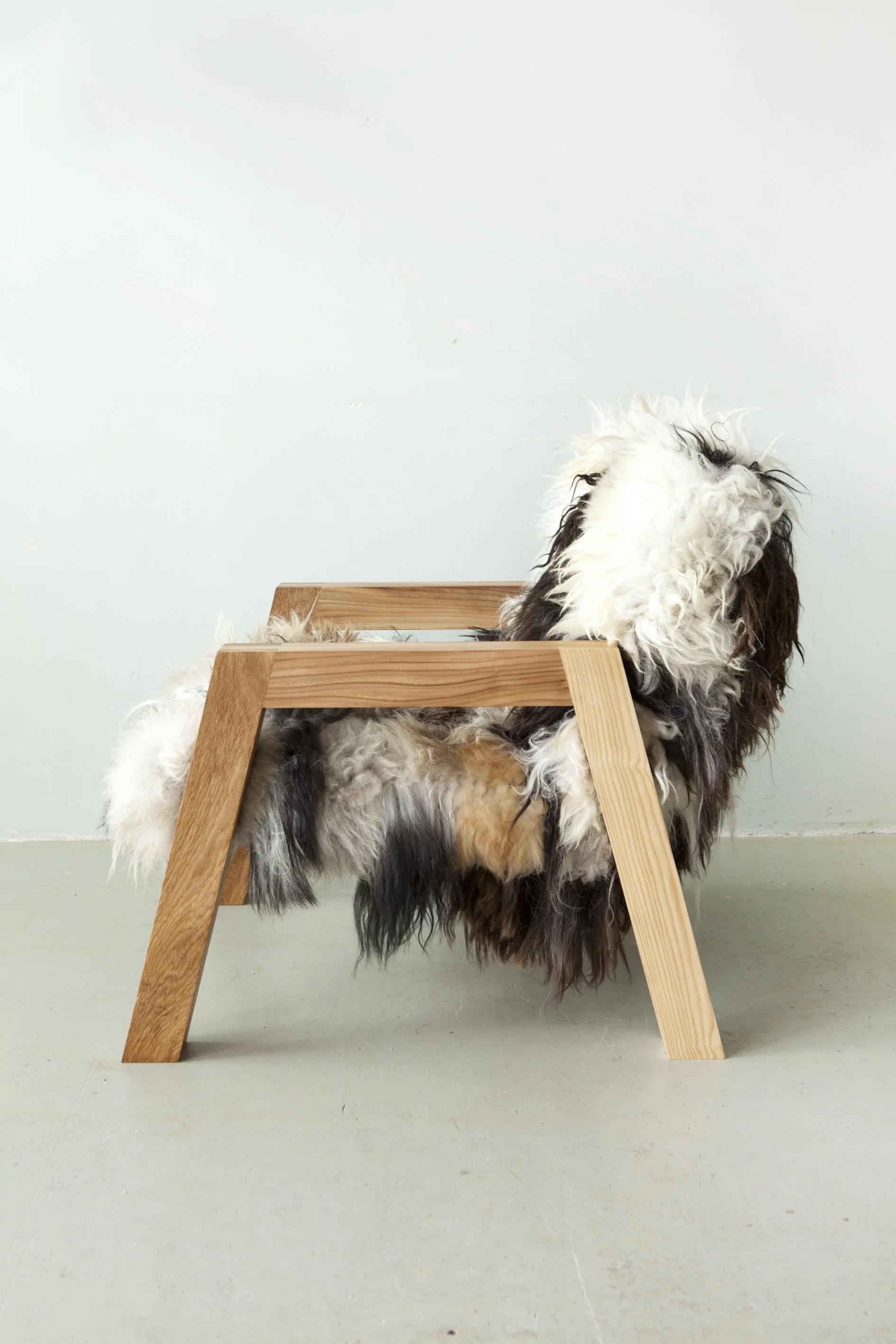 Een schapendoes hond met bont en krullend vacht die onder een houten krukje zit.
