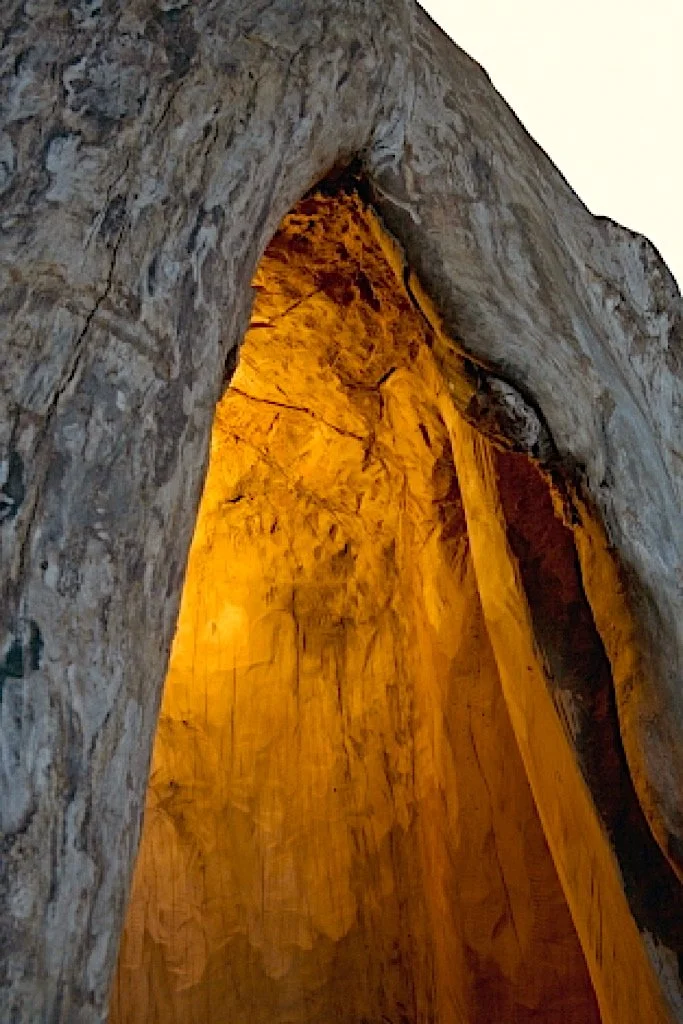 Plataan detail bewerkt.jpg