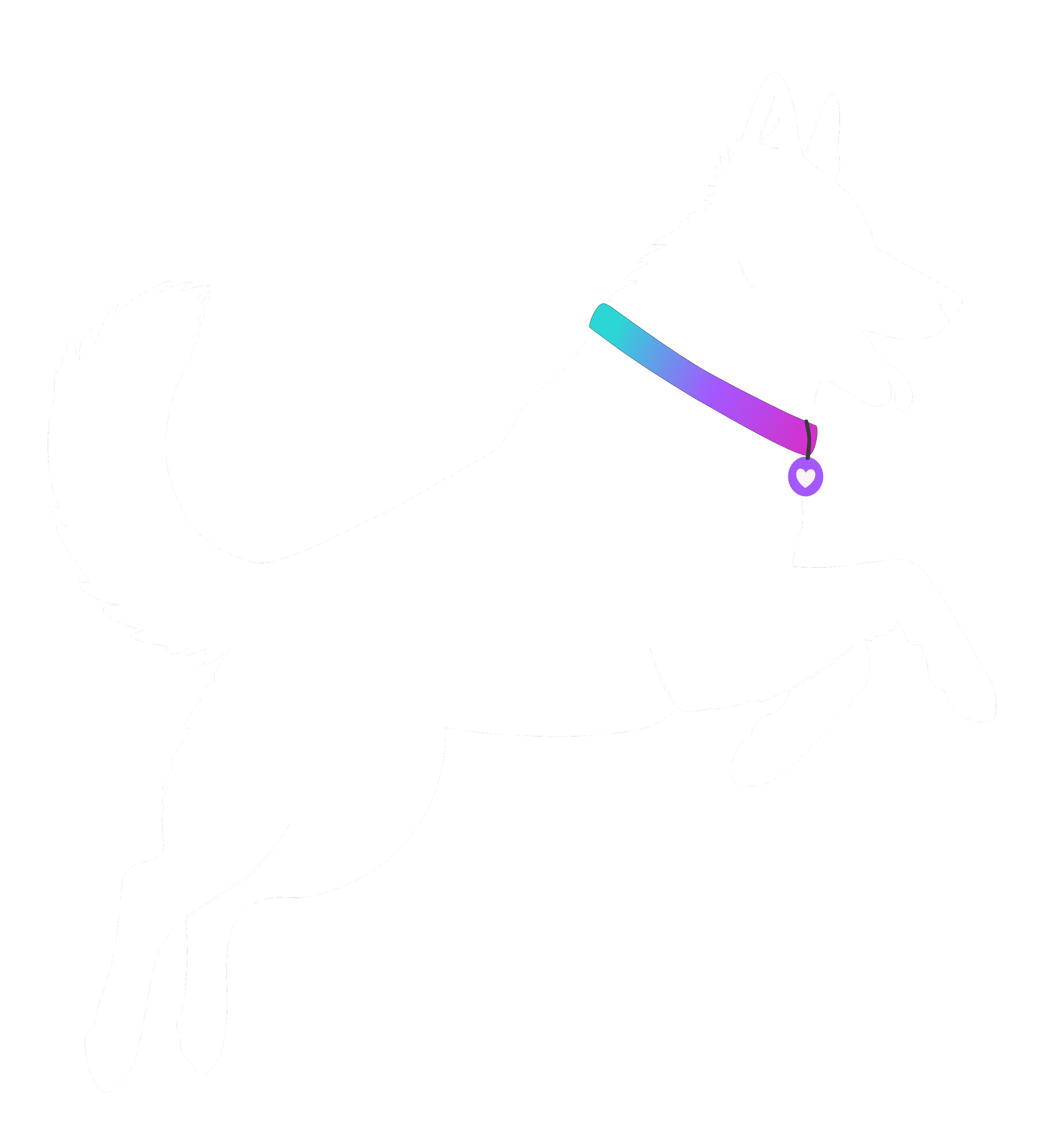Illustration of a white German Shepherd dog with a fluffy tail and erect ears, sitting on its hind legs, wearing a rainbow-colored collar with a purple heart-shaped tag, against a transparent background.