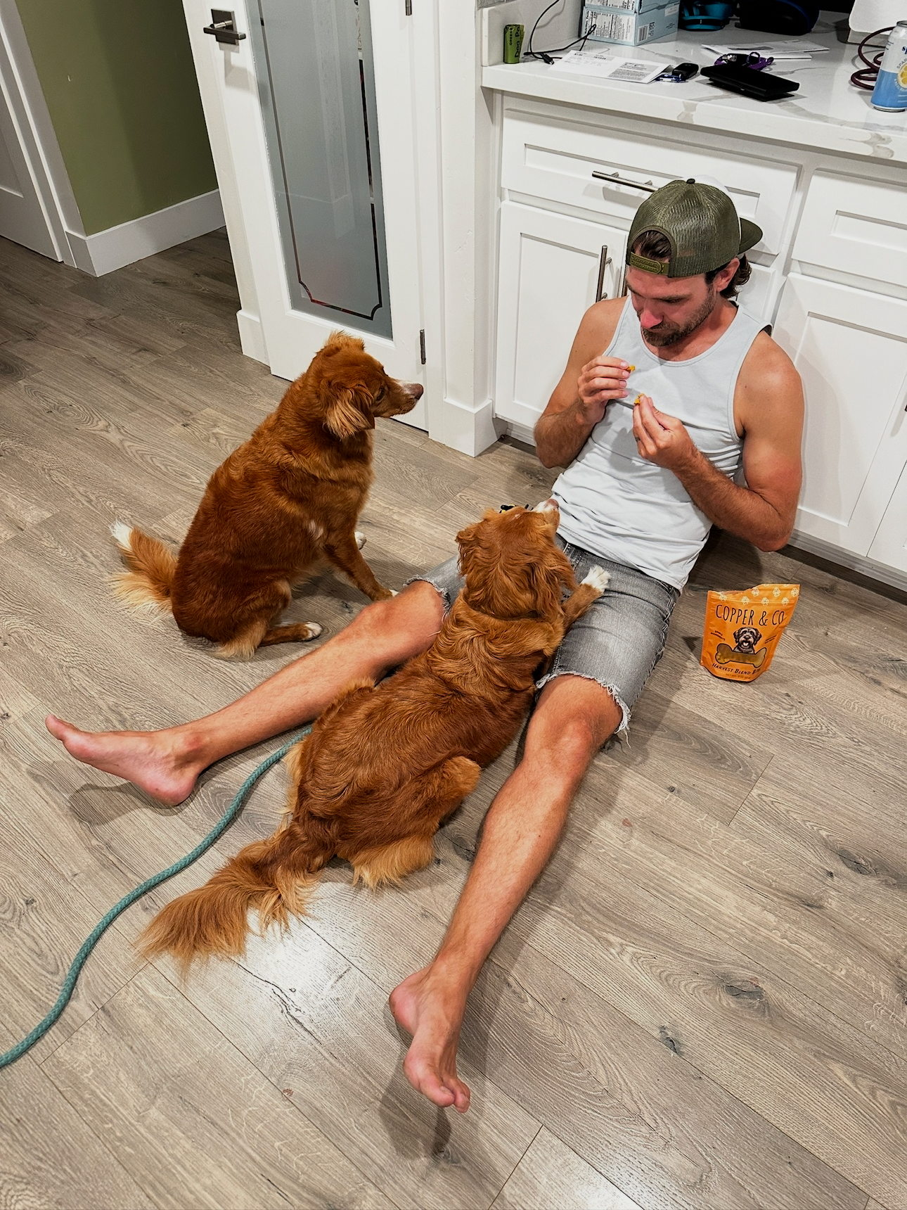 Talking to Your Dog: Why It Works