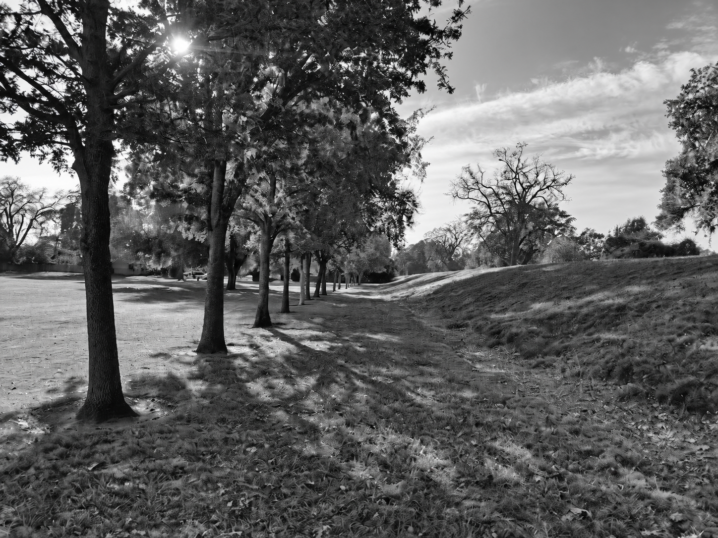 A black and white photo of a Larchmont Park in La Riviera Sacramento close to the levee