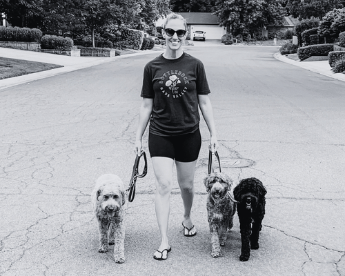 Client Jessica walking 3 dogs on loose leashes with dog training for the whole family