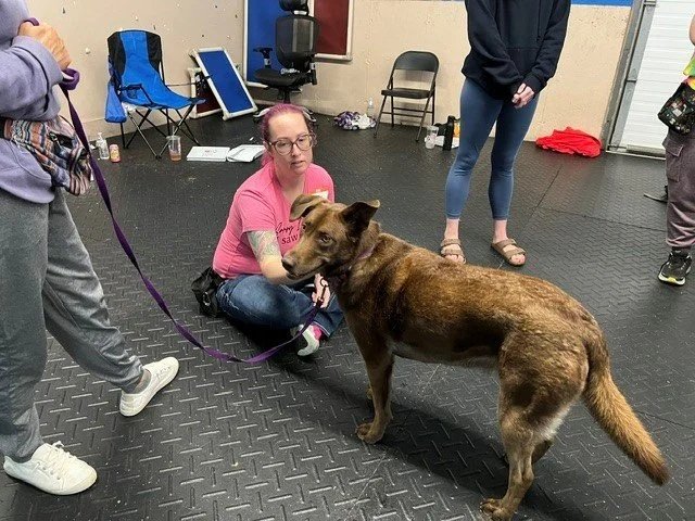 Terra Ruiz Sacramento Dog Trainer Wholistic Canine at Training Between The Ears Class