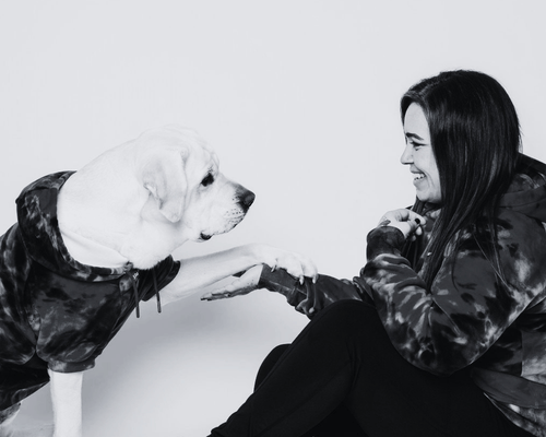 Haggis the Labrador  shaking paw with smiling owner Melissa, after private dog training lessons