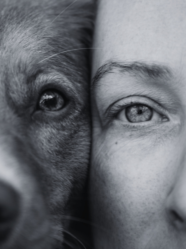 A close-up of a woman's face (Terra, Wholistic Canine, Owner) and a dog's face pressed together, showing one eye of each in black and white.