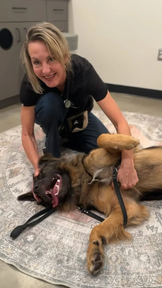 Dr. Angie Stamm of Meridian Veterinary Care in Folsom with Odie, Terra's dog