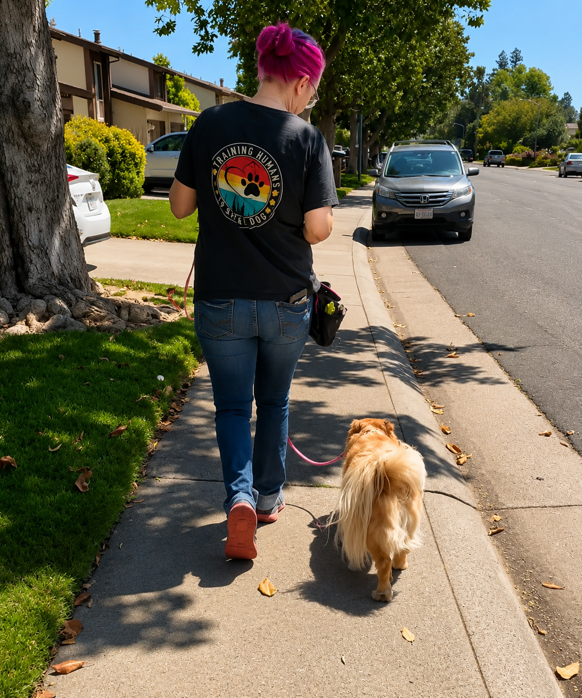 Walking on a long leash with jojo the Chinese village dog