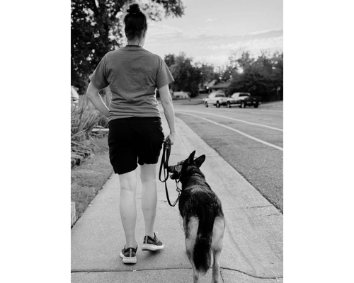Woman walking a reactive German Shepherd on a loose leash, Wholistic Canine Sacramento