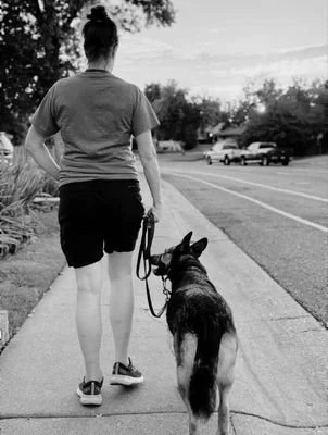 A person walking a dog on a sidewalk in a suburban area during daytime.