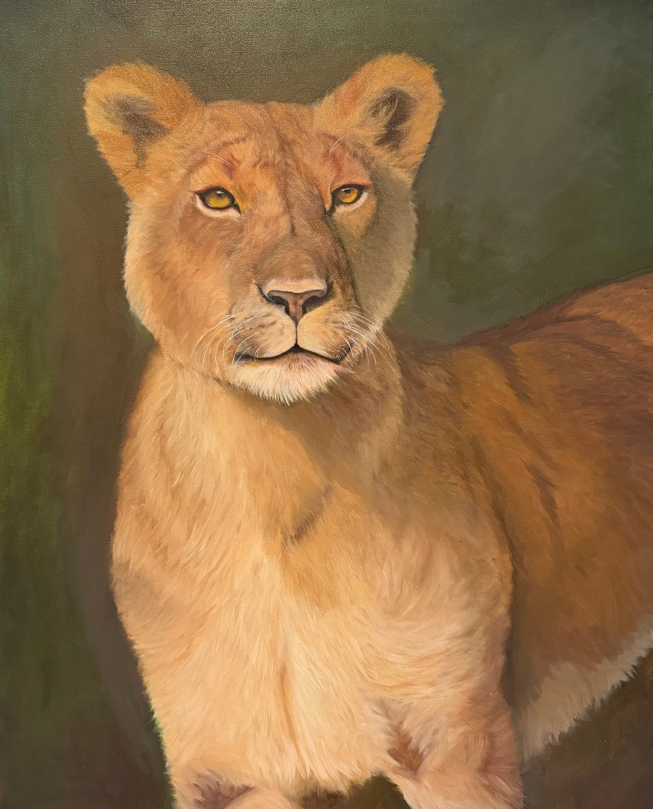 Pride, 24x30, oil on canvas, 2026