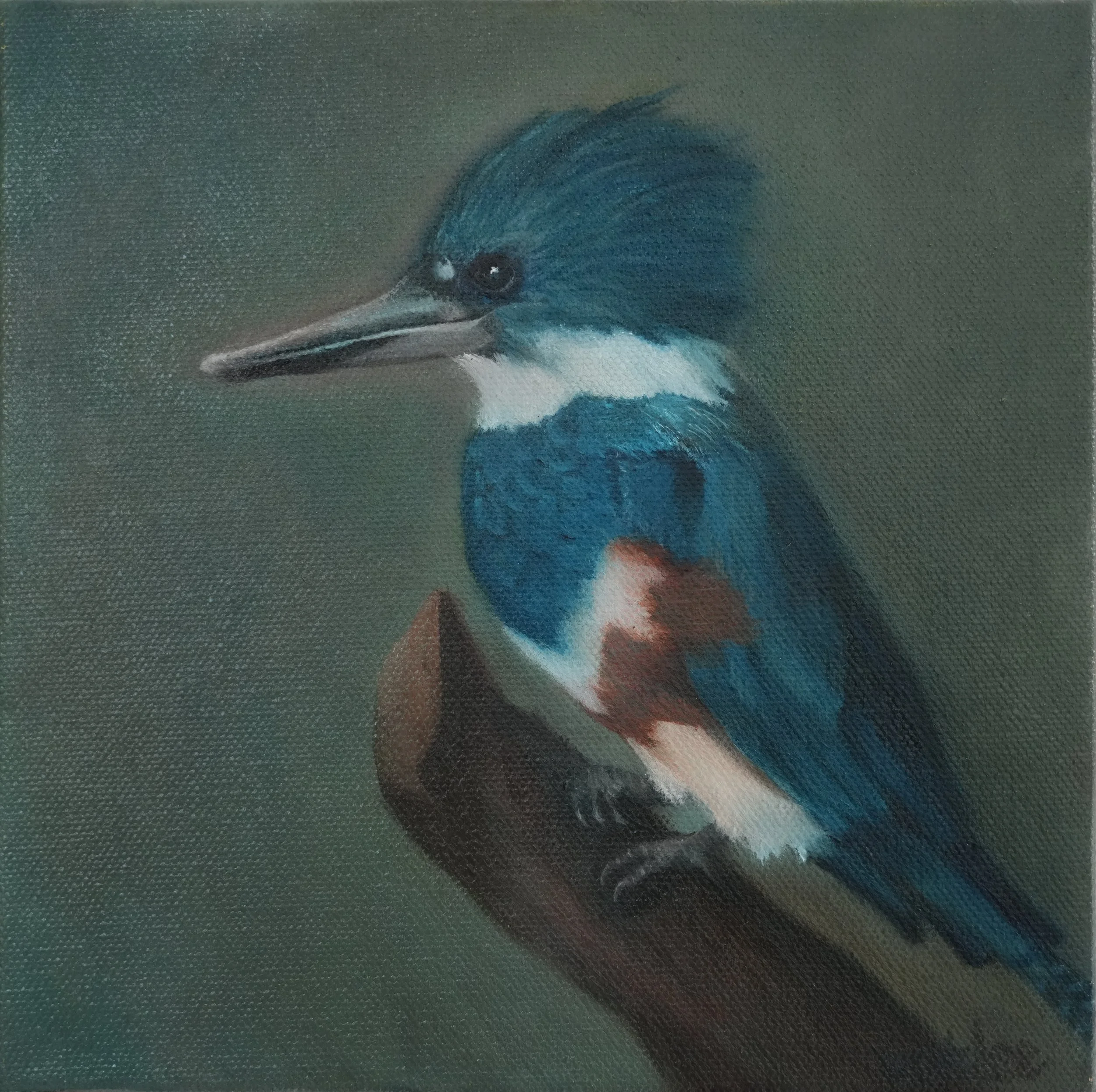 Focus | 8 x 8 x 1.5 inches | oil on canvas | 2026