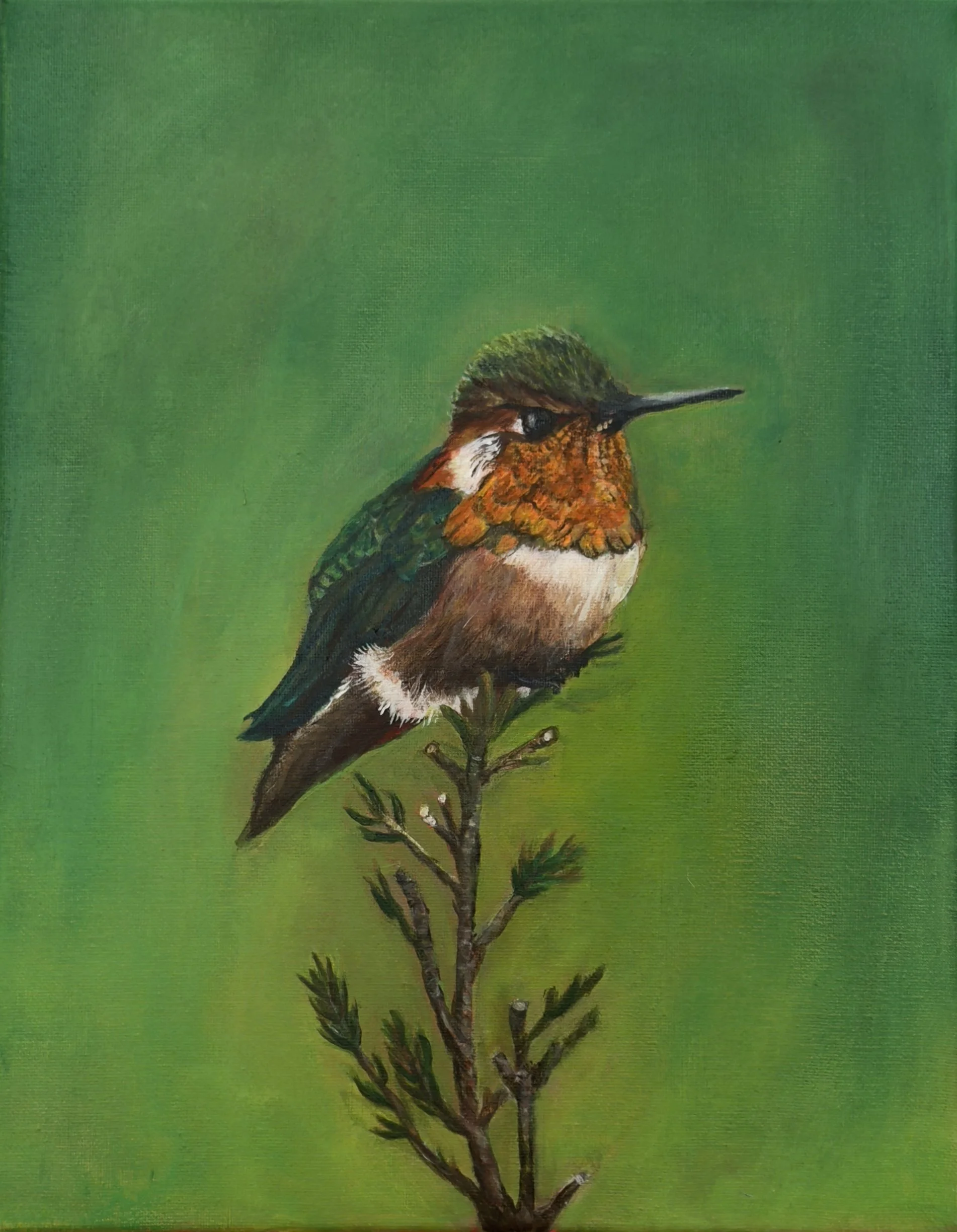 Springtime, 11x14, acrylic on canvas, 2025