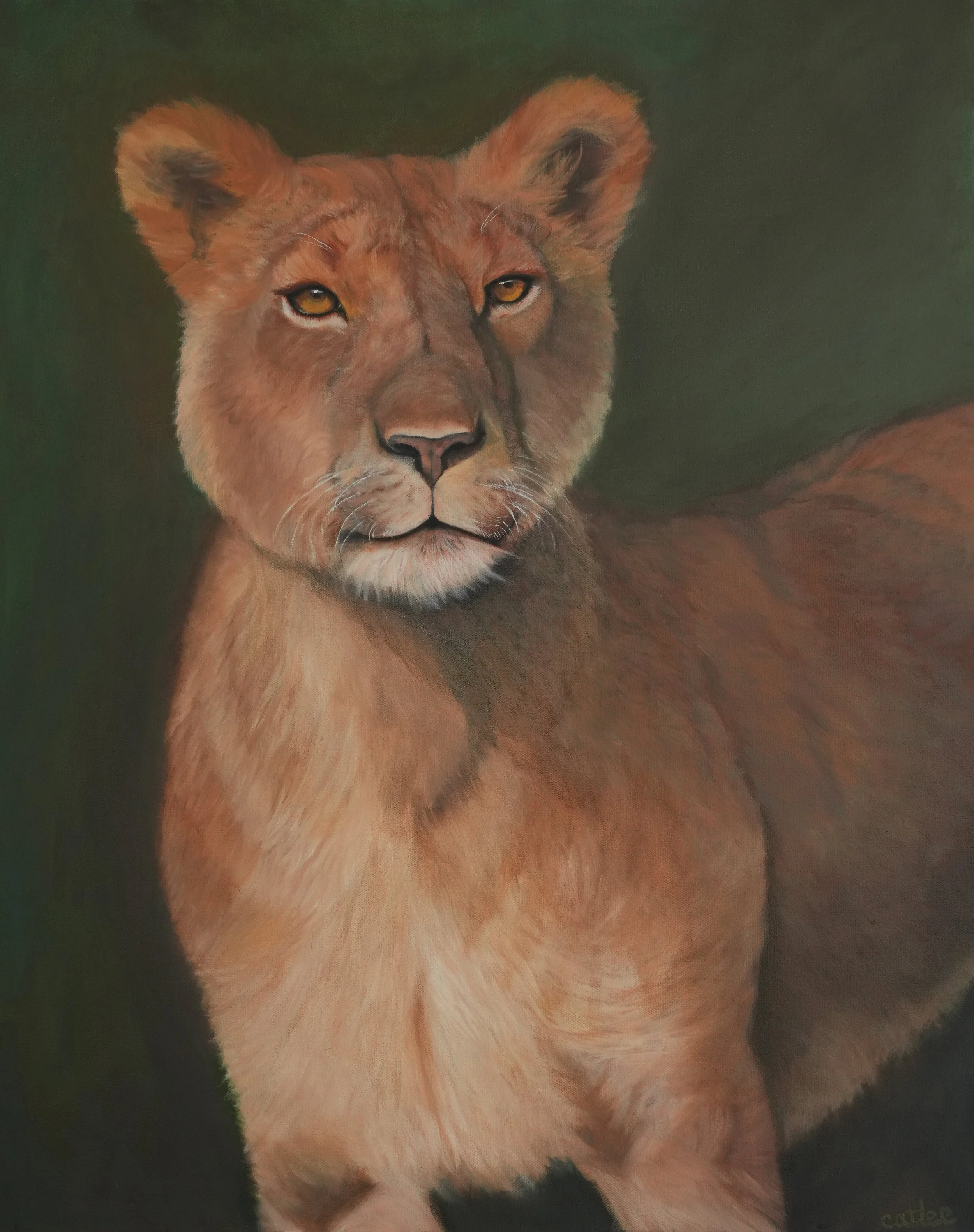 Pride | 24 x 30 x 1.5 inches | oil on canvas | 2026