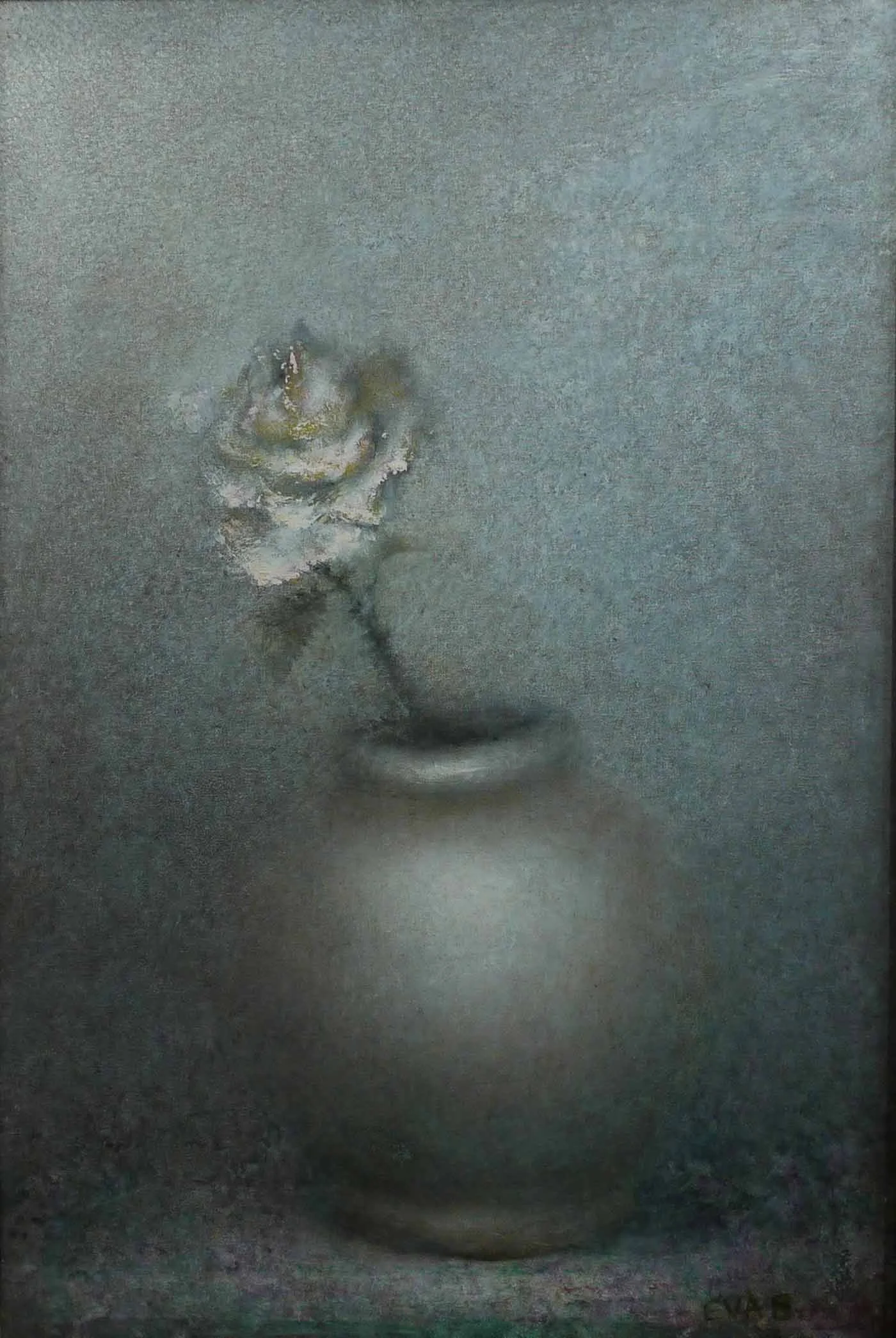 White Rose