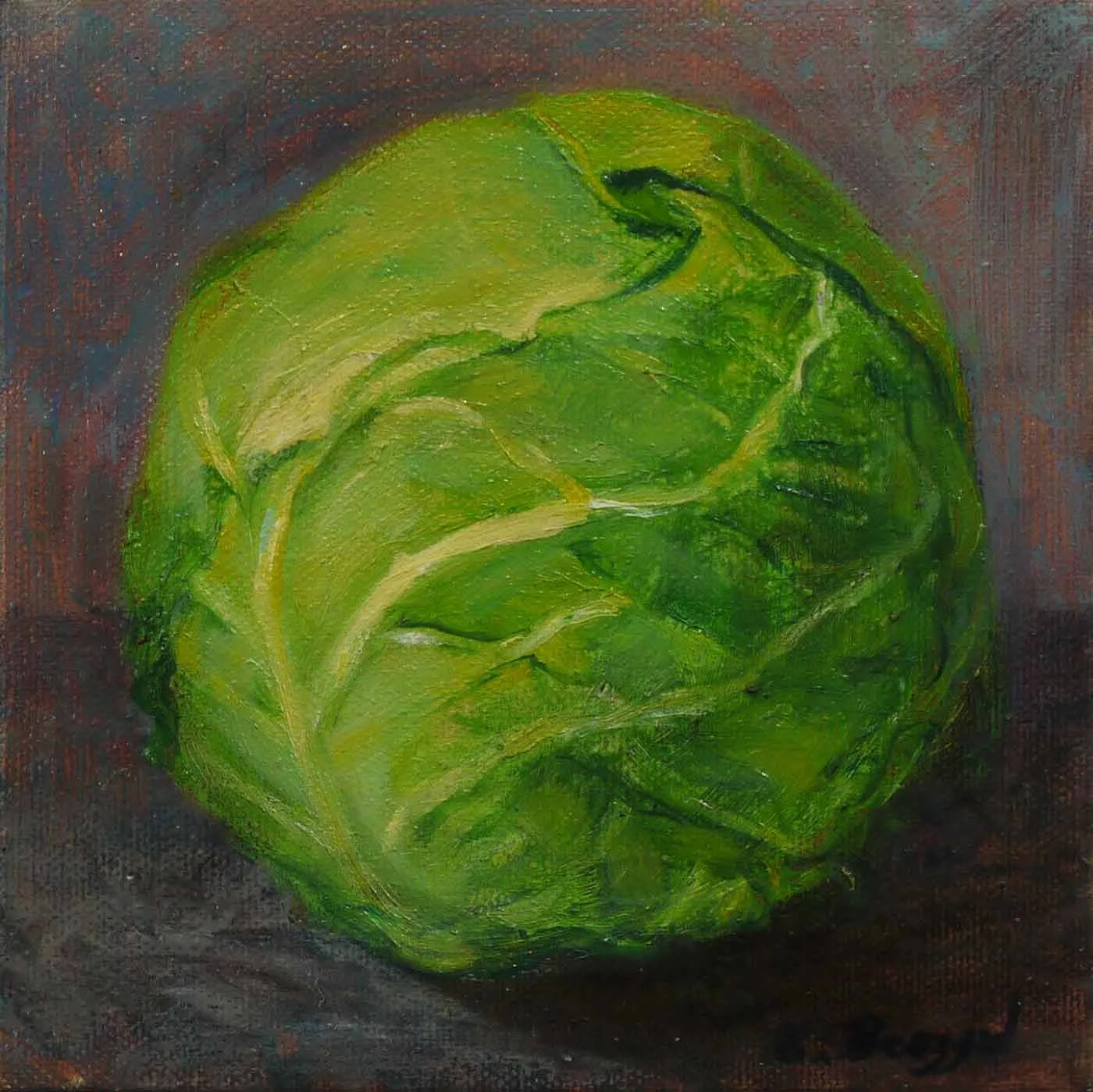 Green Cabbage 1
