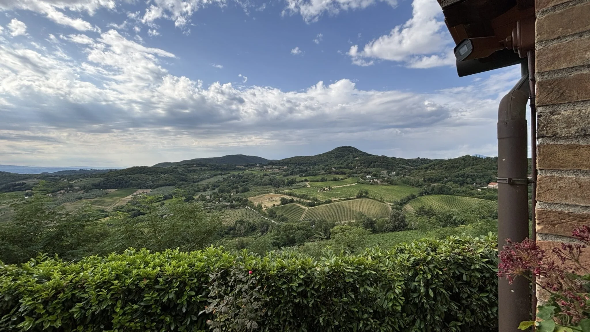 Scenic view of rolling hills and vineyards under a partly cloudy sky, seen from a patio with green bushes in the foreground and part of a brick wall on the right.