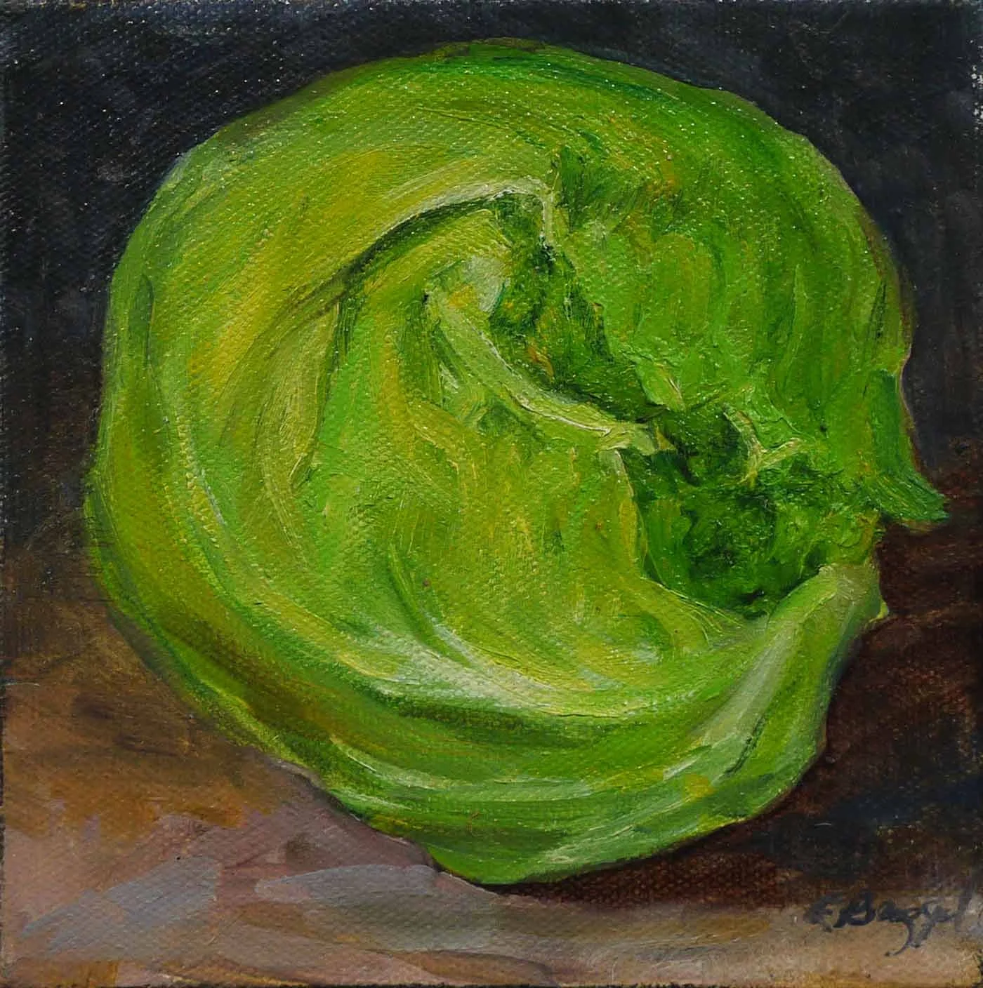 Napa Cabbage