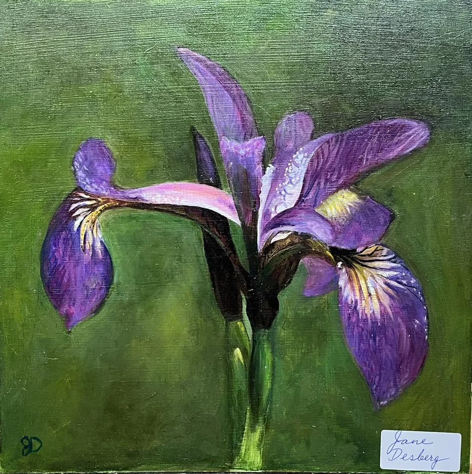 A painting of a purple iris flower with green background, signed by Jane Desberg in the bottom right corner.