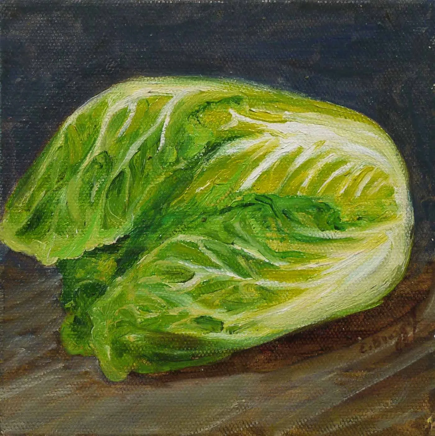 Boston Lettuce