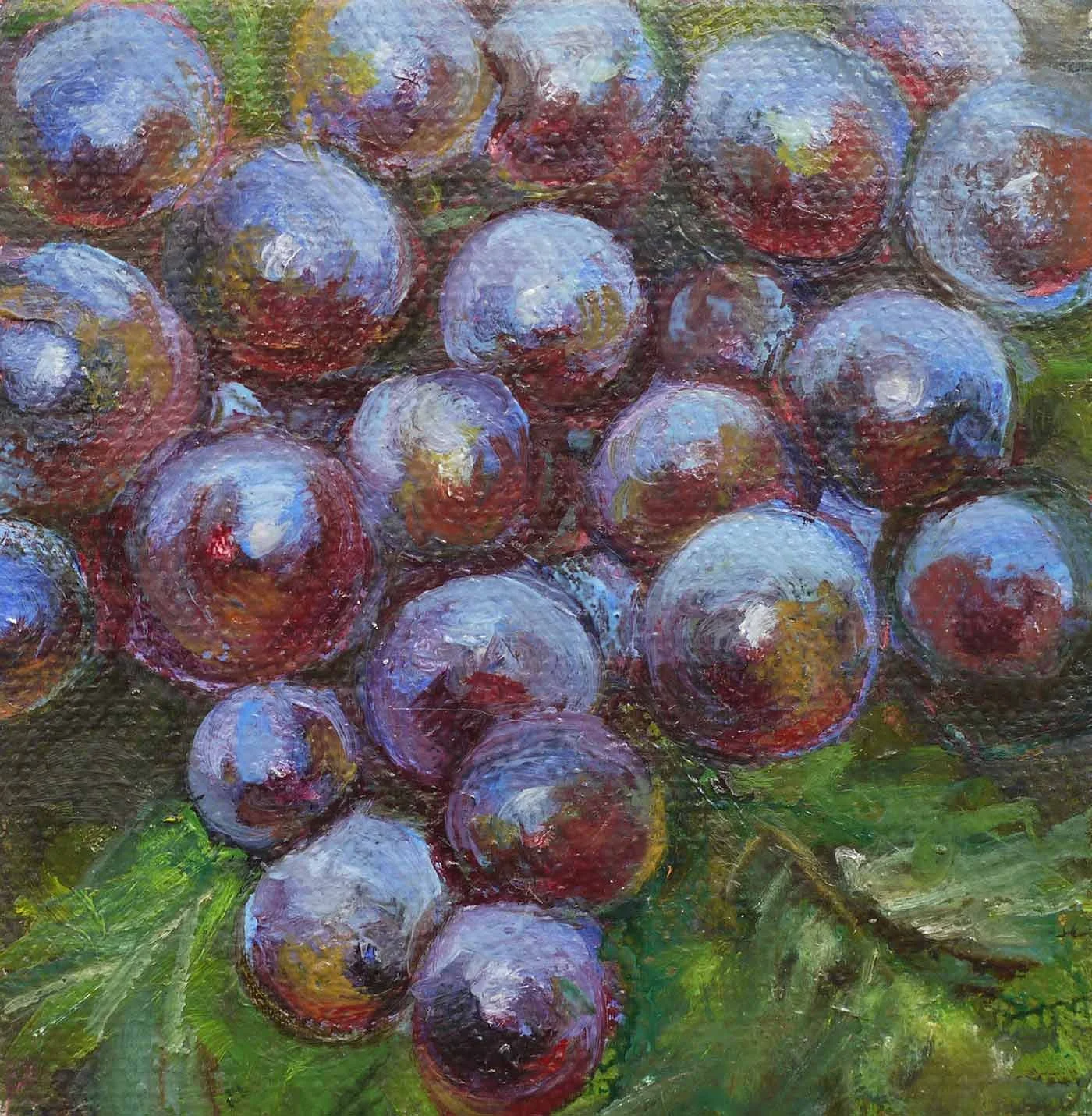 Small Blue Grapes