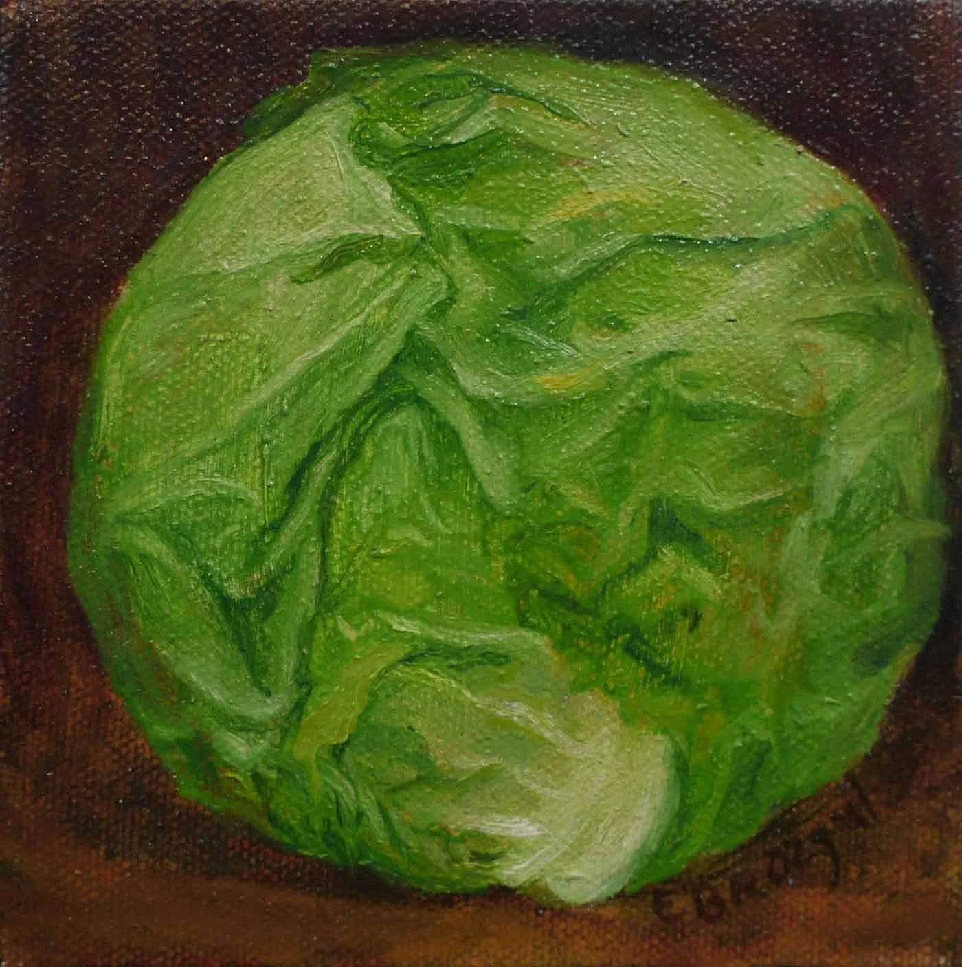 Small Green Cabbage