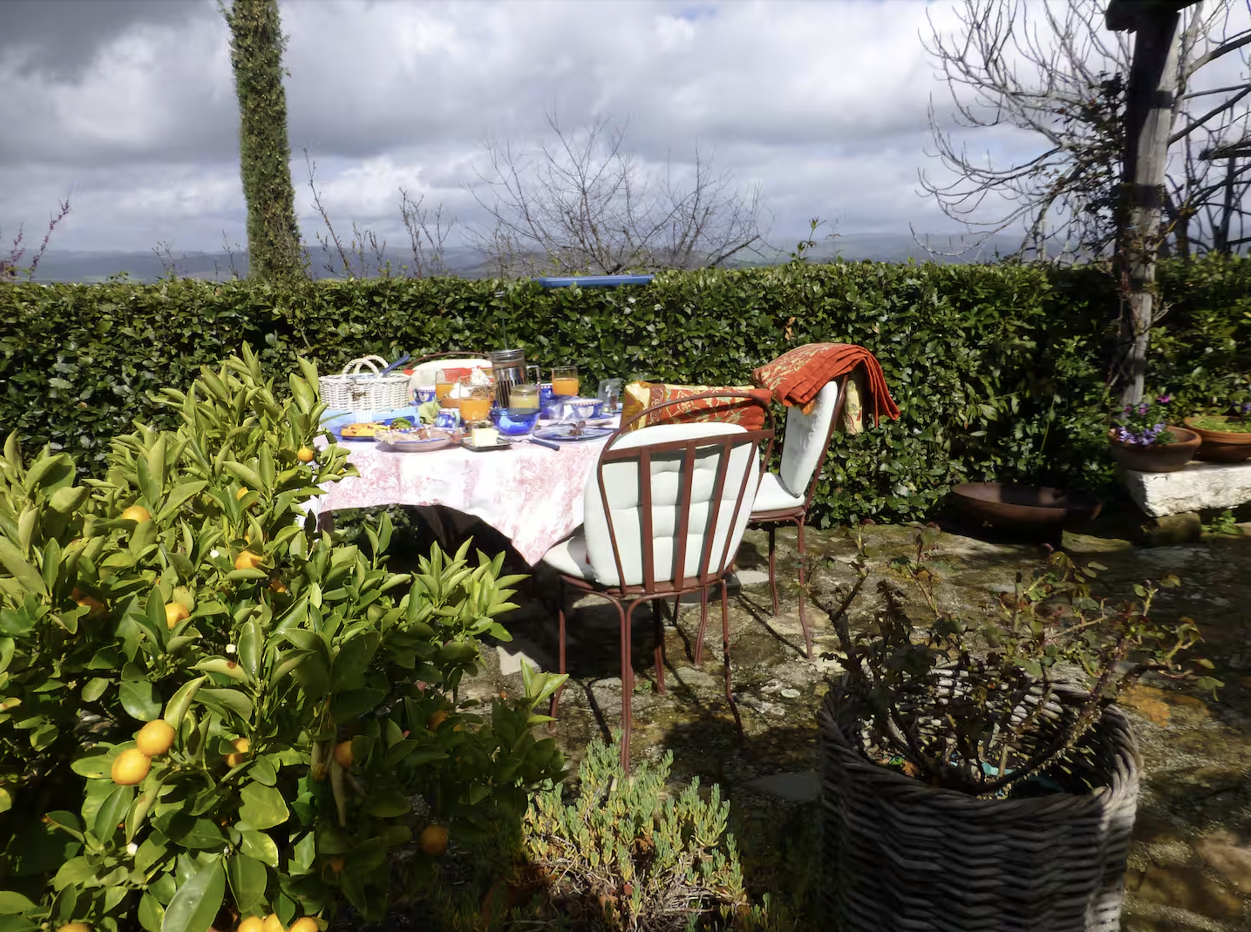 A backyard scene with a table set with breakfast items, surrounded by green bushes and potted plants, with trees and cloudy sky in the background.