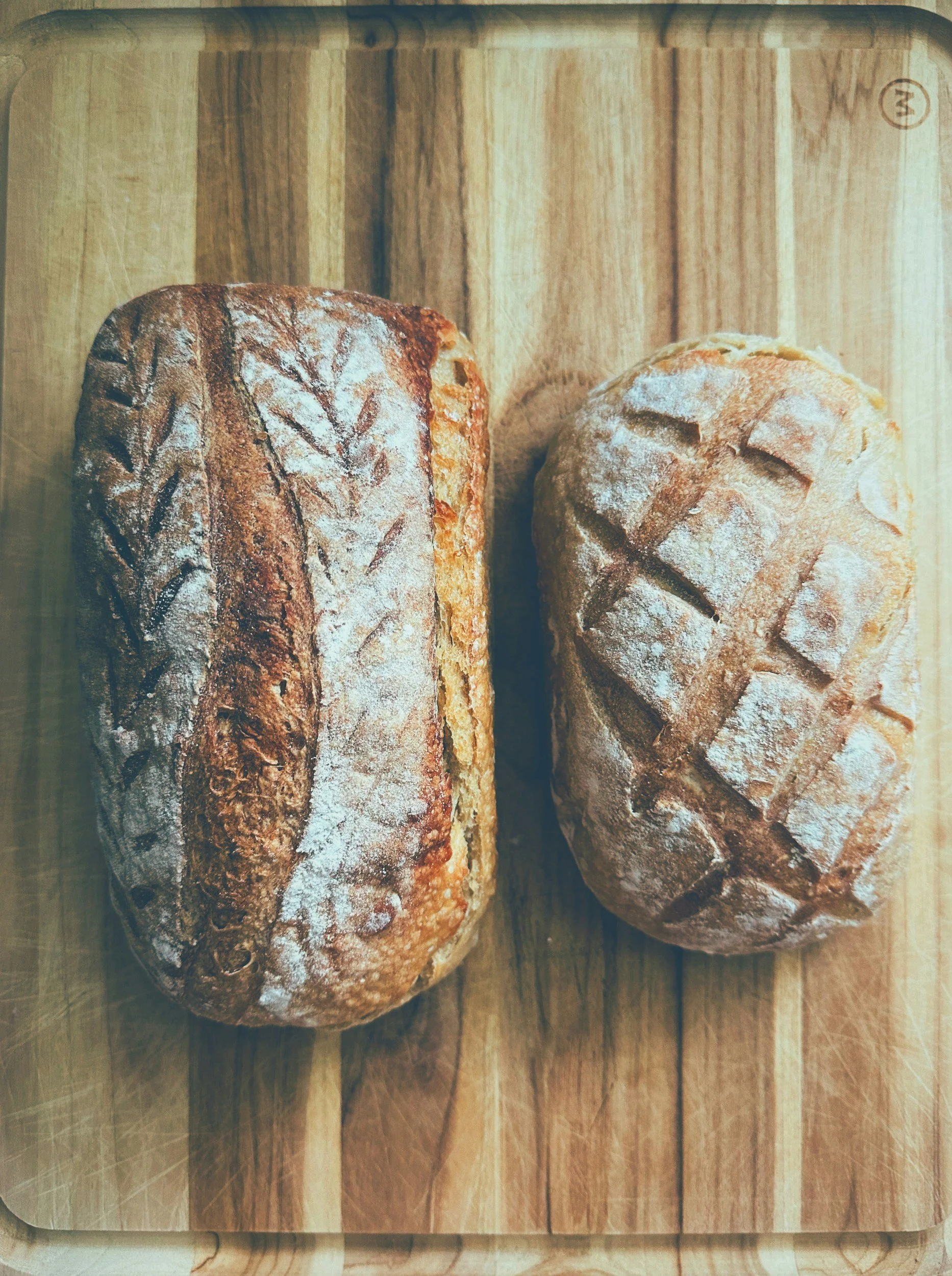 unsplash-image-TQ73CYeA9TA.jpg