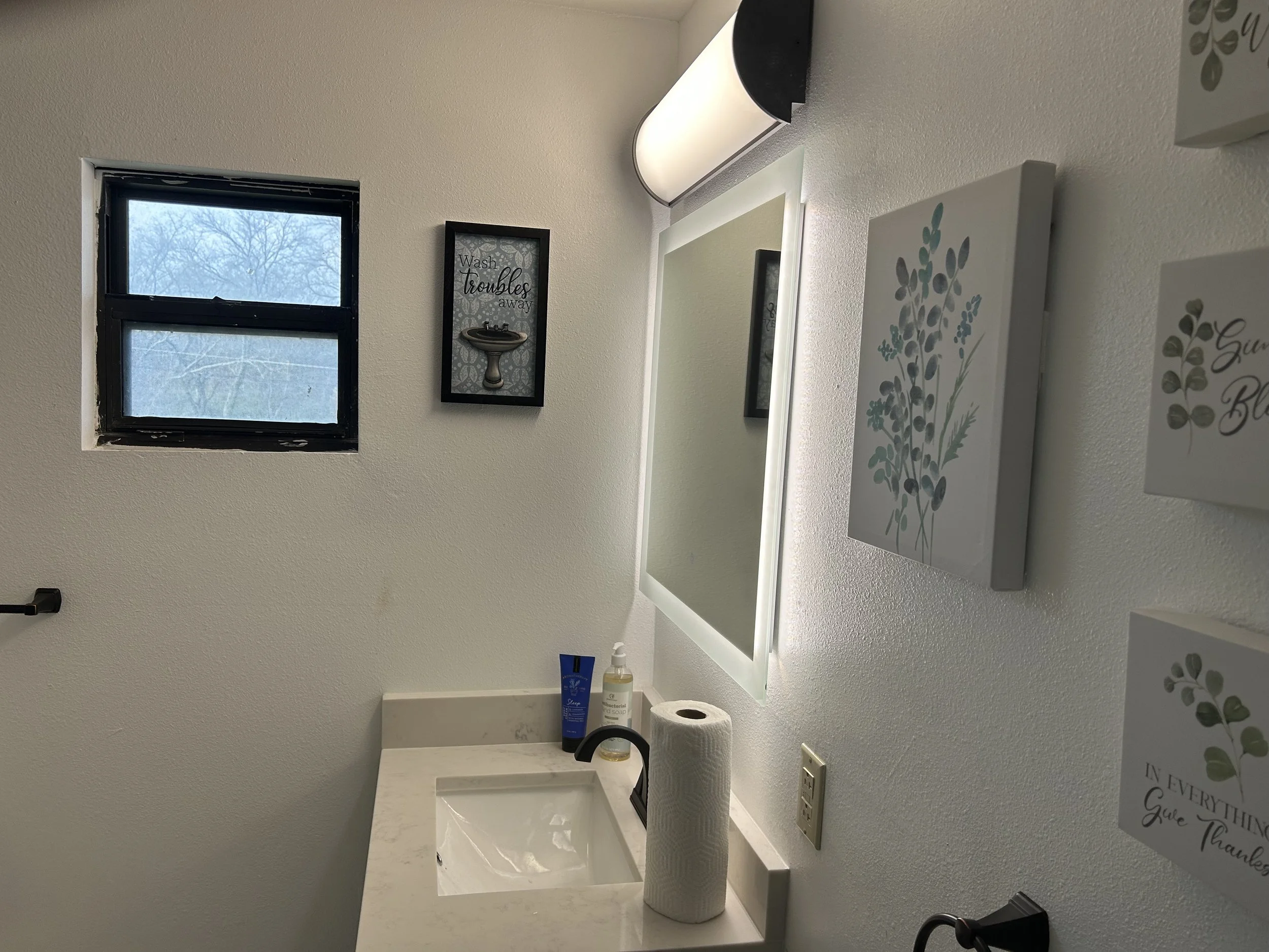 Bathroom sink with a mirror, hand soap, a tube of skincare product, rolled toilet paper, and a picture on the wall.