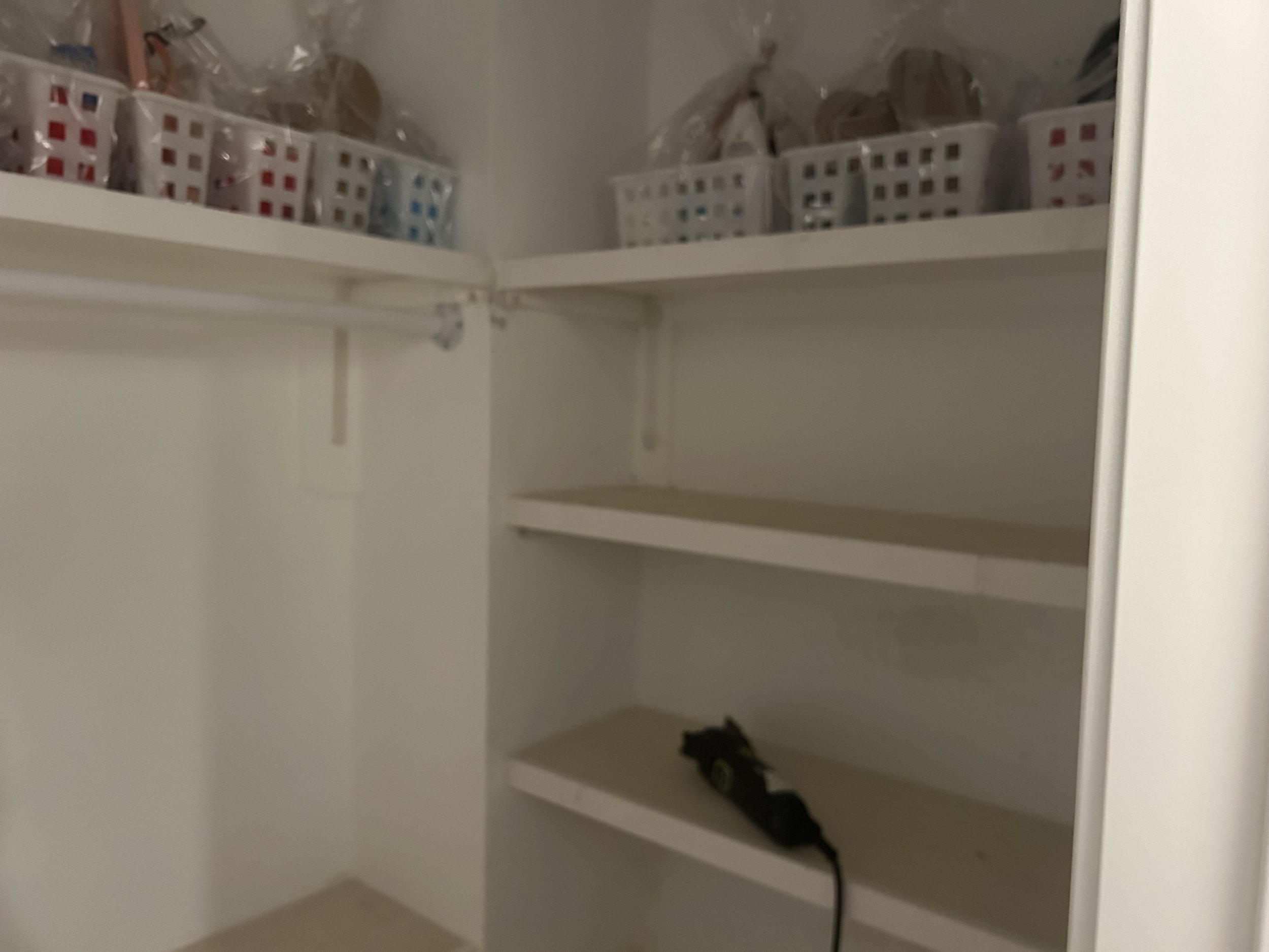 Empty white pantry with four shelves, only a black cat lying on the bottom shelf.