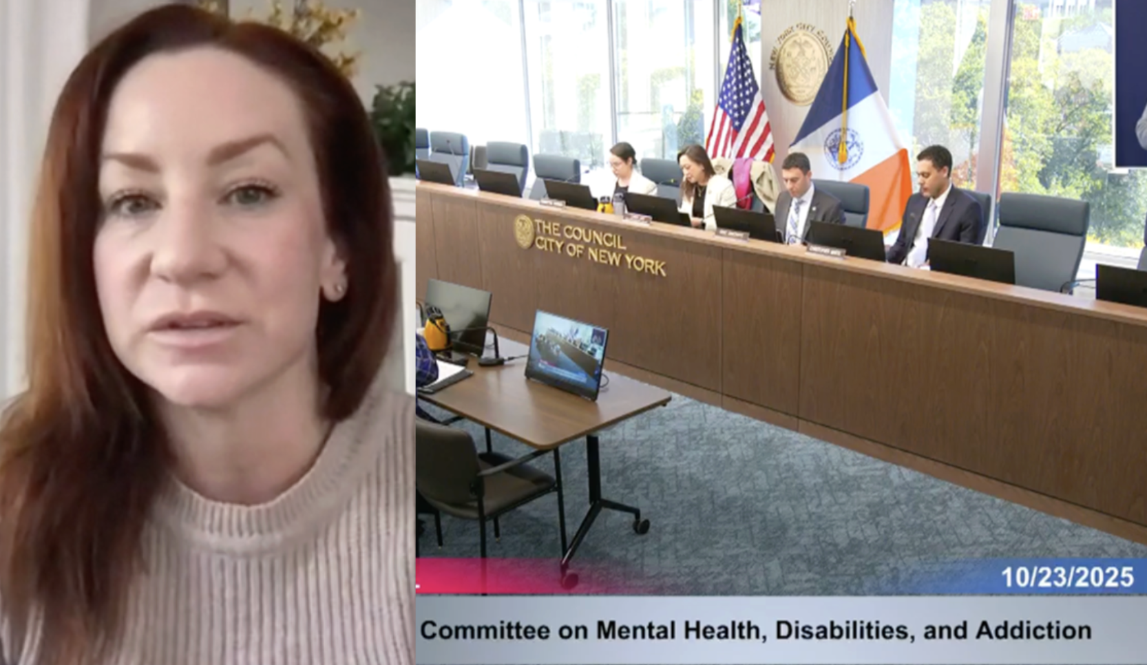 Inevitable Foundation, Woody Harrelson, and Tony Nominee Katy Sullivan Deliver Testimony for New York Accessibility Fund