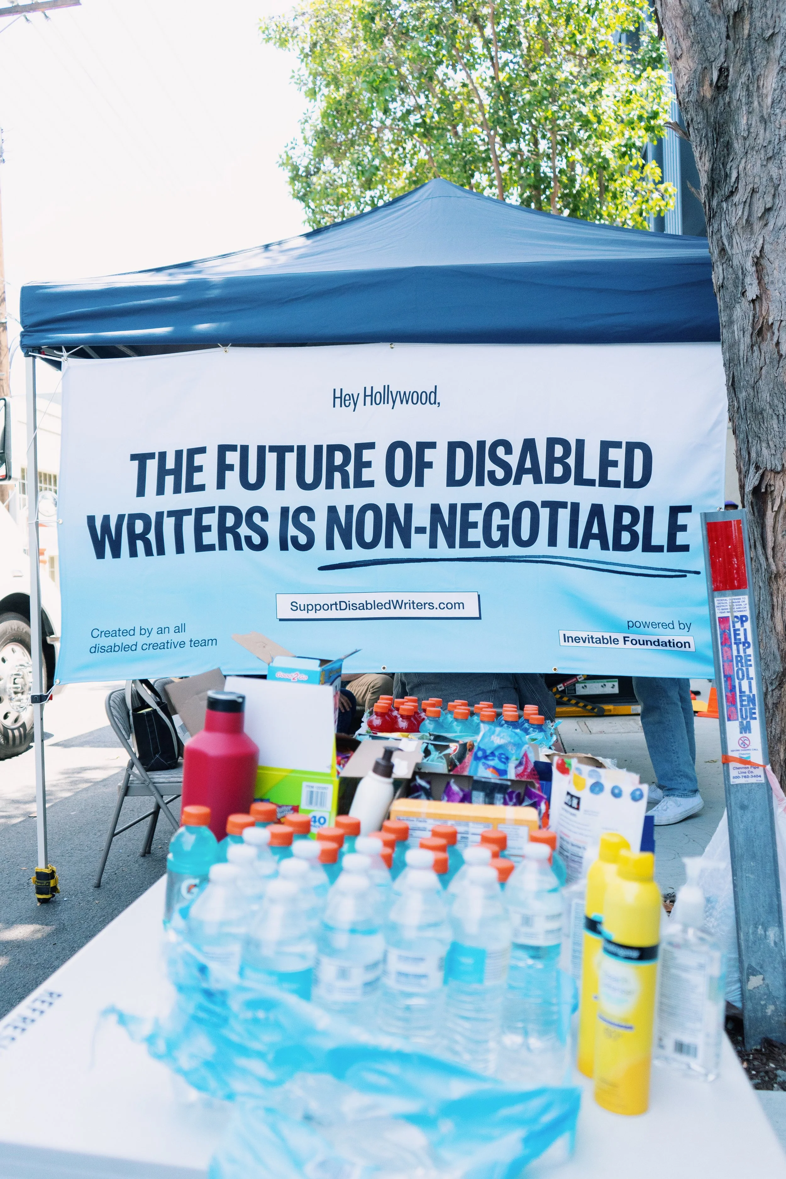 Accessible Picket Line 