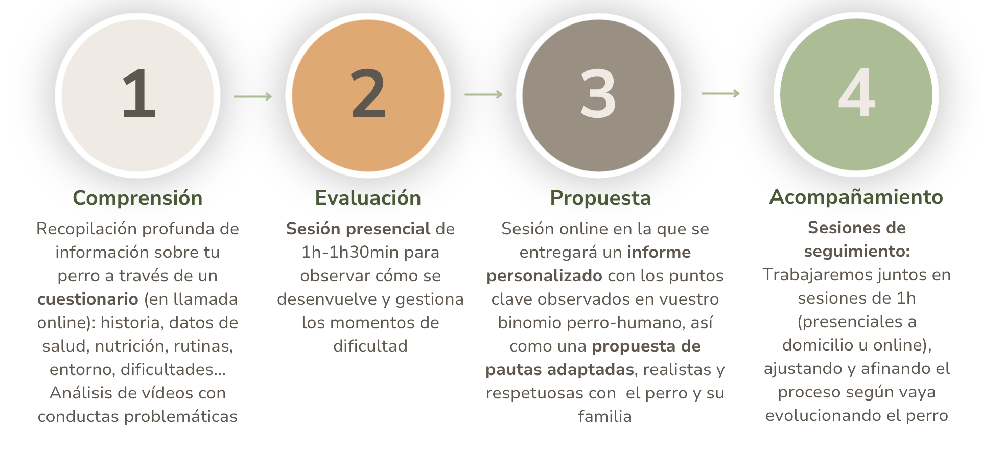 Fase 1 comprension, fase 2 evaluacion, fase 3 propuesta. Estas 3 constituyen el Informe Base y Pautas Terapeuticas. Y la fase 4, sesiones de acompañamiento