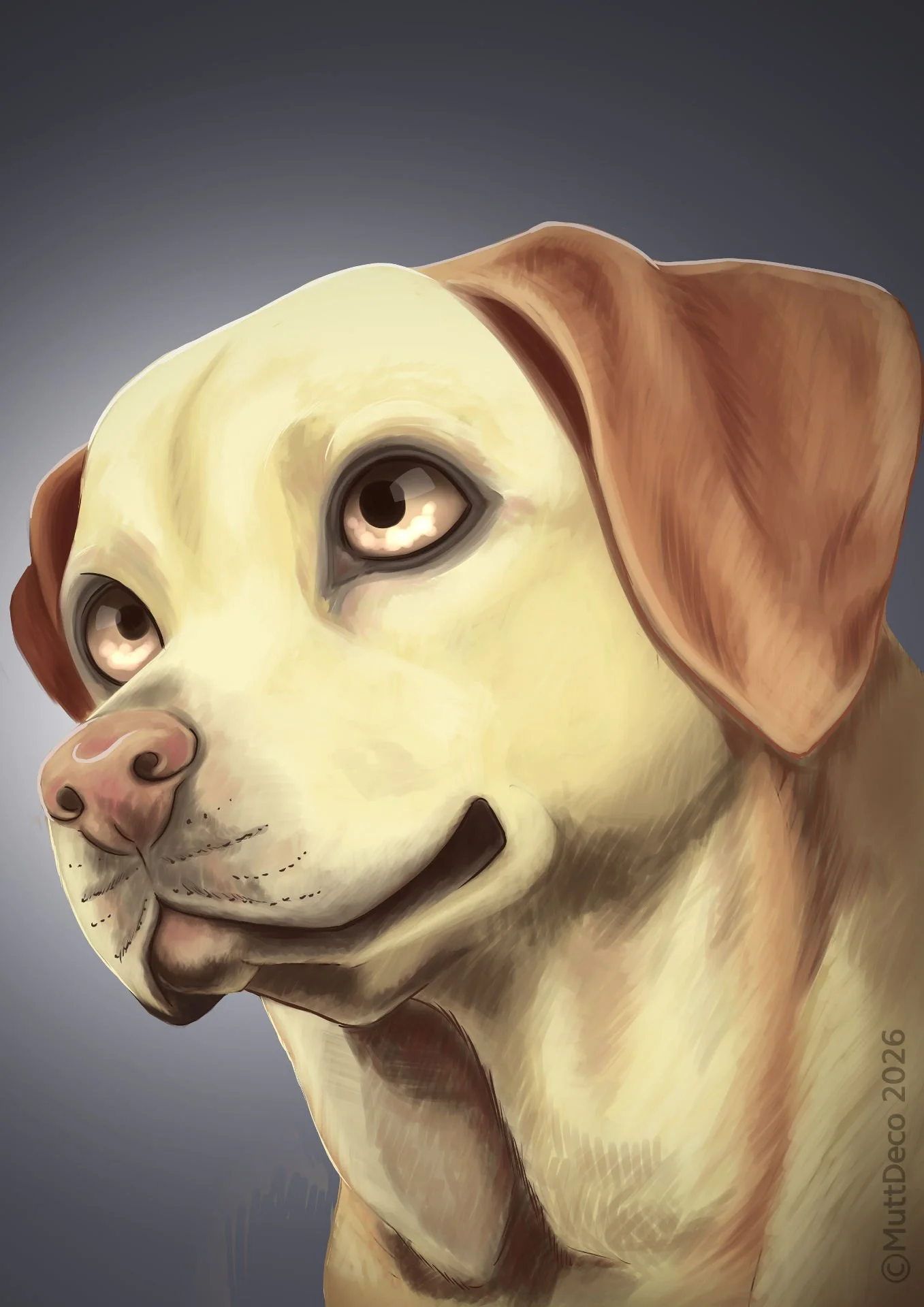 Semi-real portrait of a Labrador with grayscale gradient background
