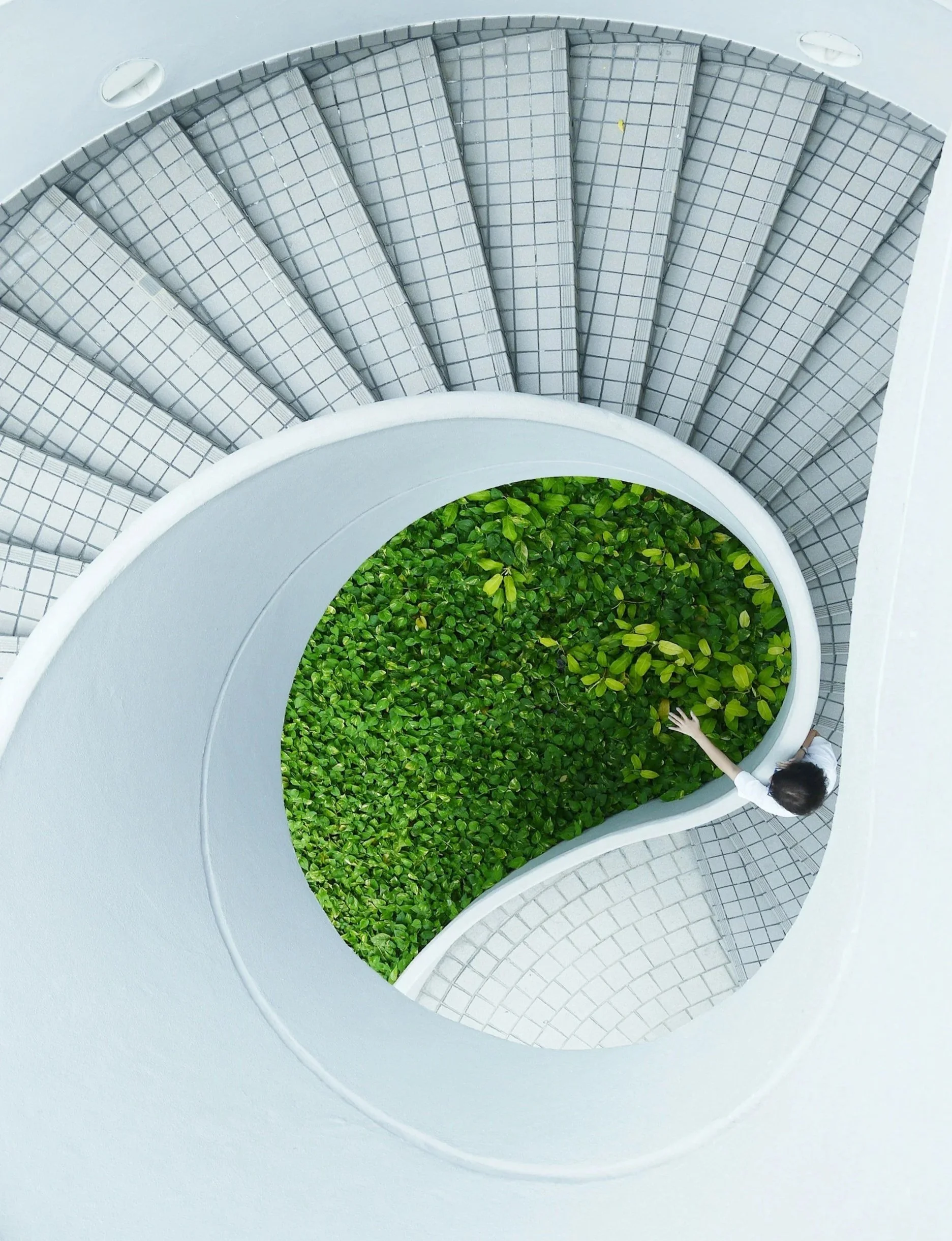 Top-down view of a spiral staircase with gray tiles and a circular opening filled with green plants, and a child reaching out.