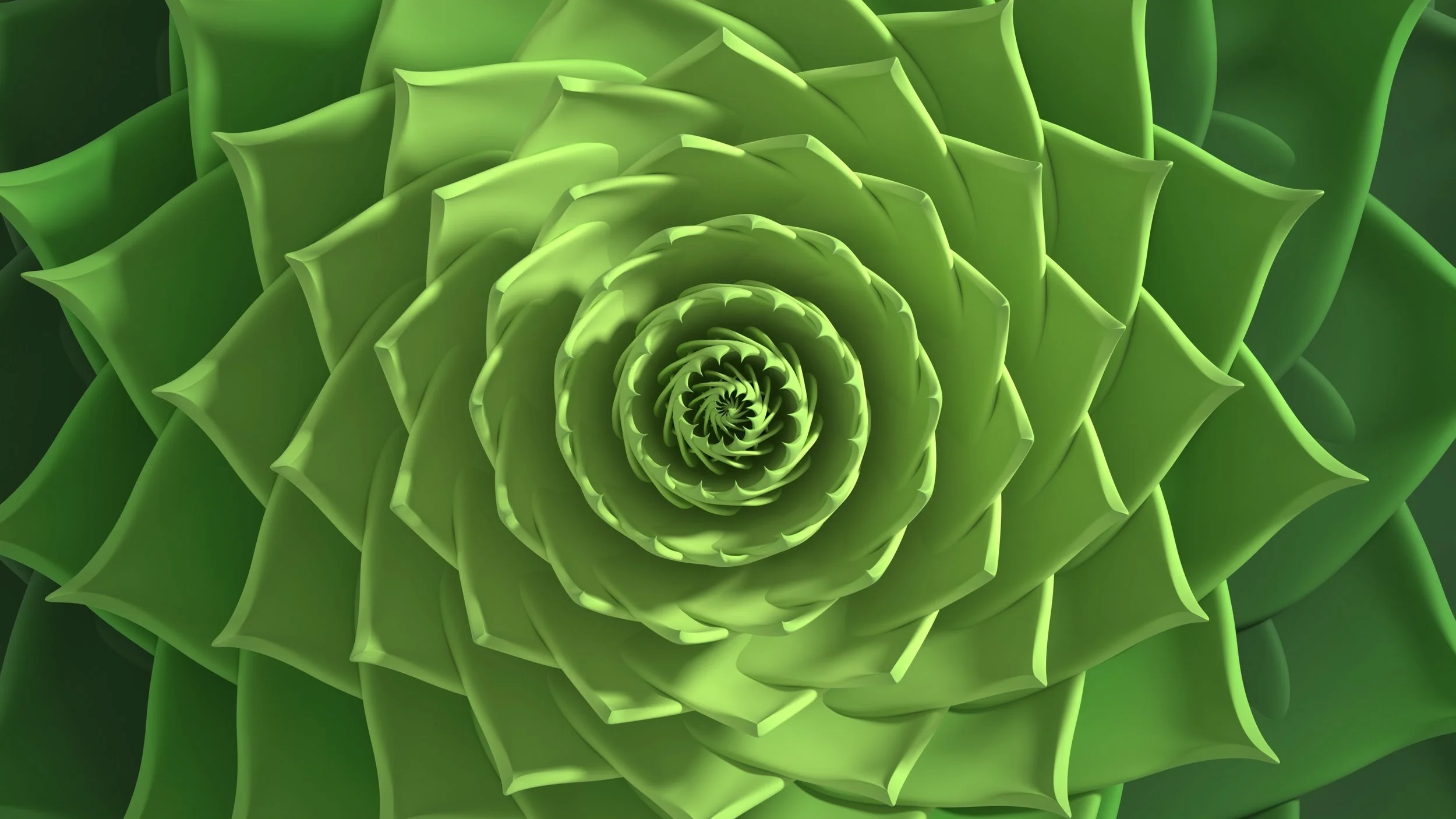 Close-up of a spiraling green succulent plant with pointed leaves.