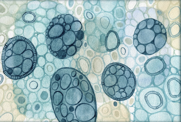 Illustration of various circular shapes and bubbles in blue and teal tones, resembling microscopic cells or stem cells.